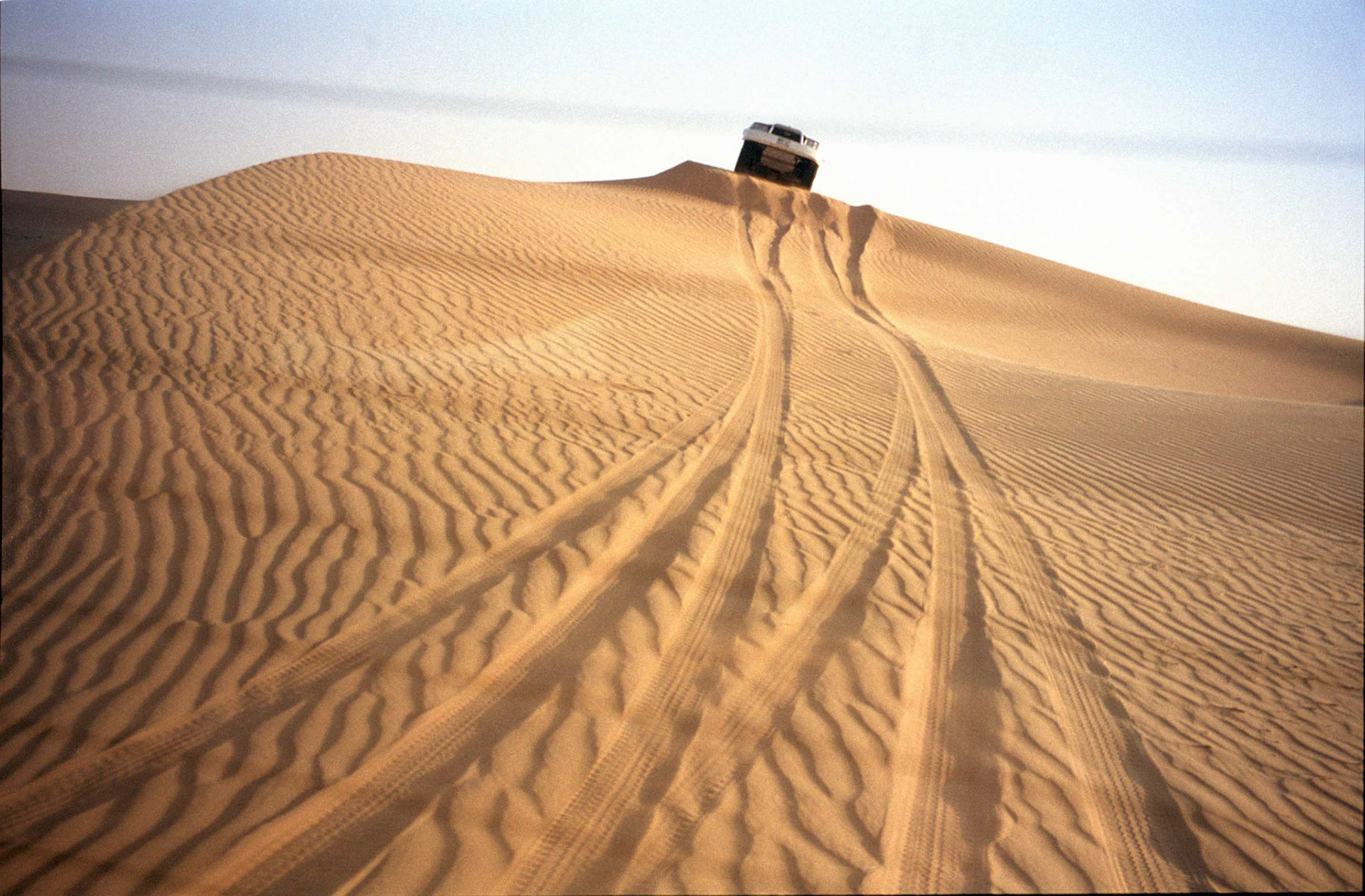 Dubai - Desert Safari