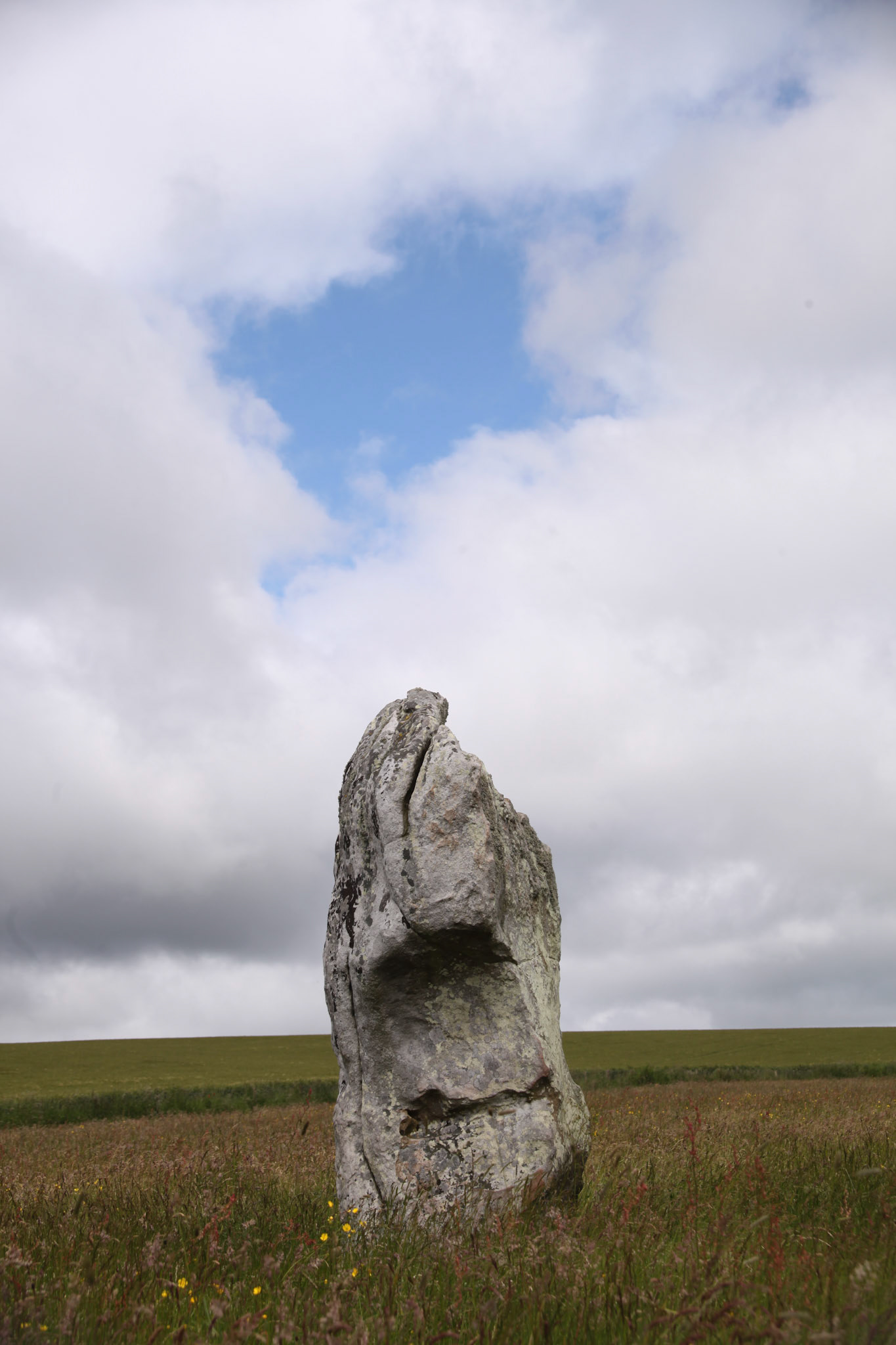 Who you looking at ?