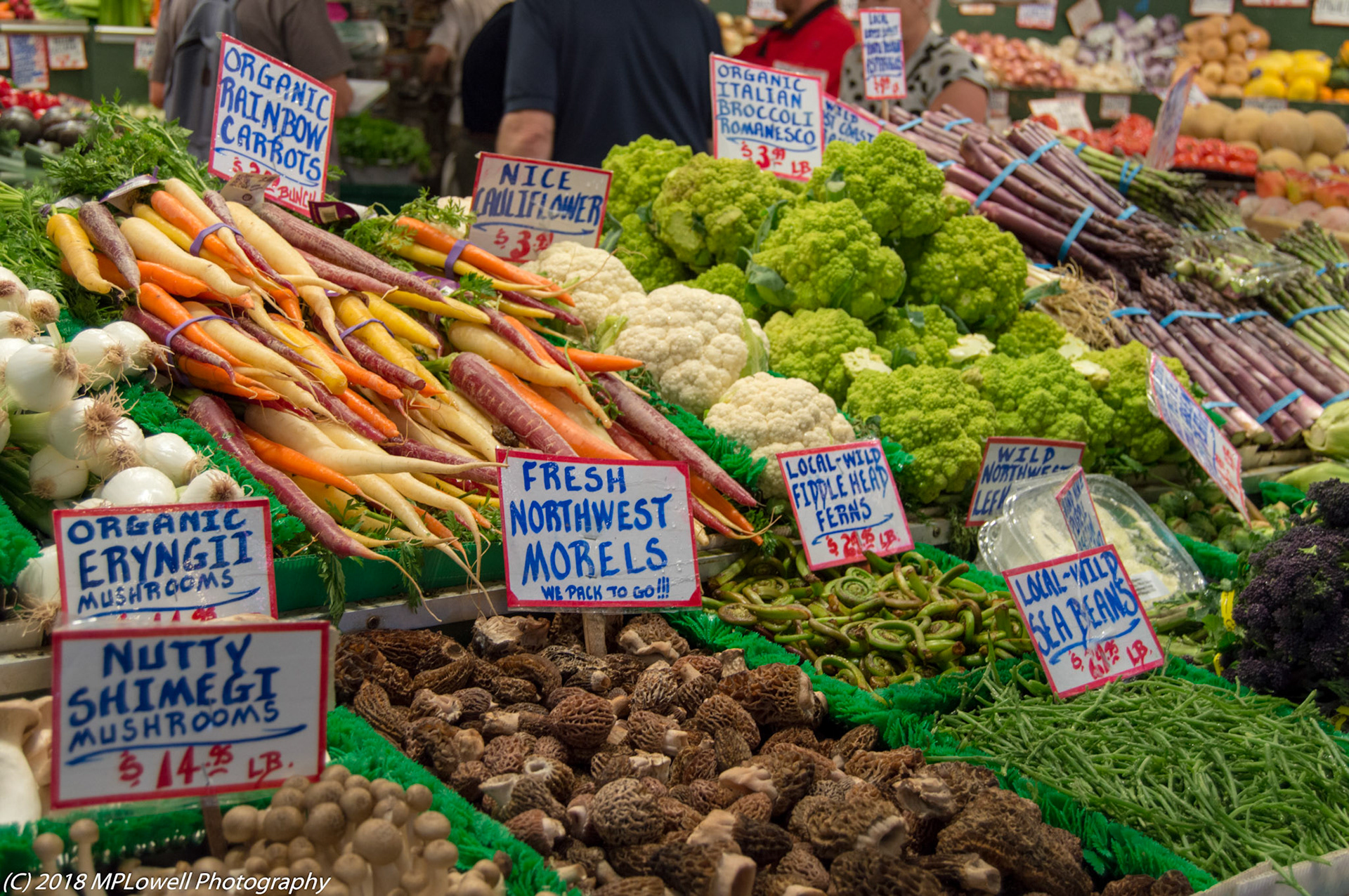 Best of Washington's Produce!