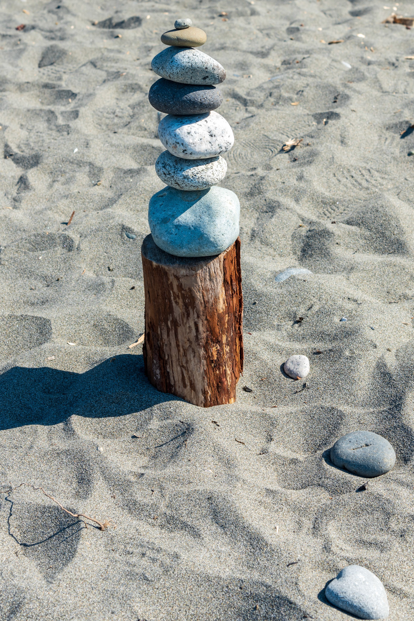 A collection of rocks on Deception Pass Beach