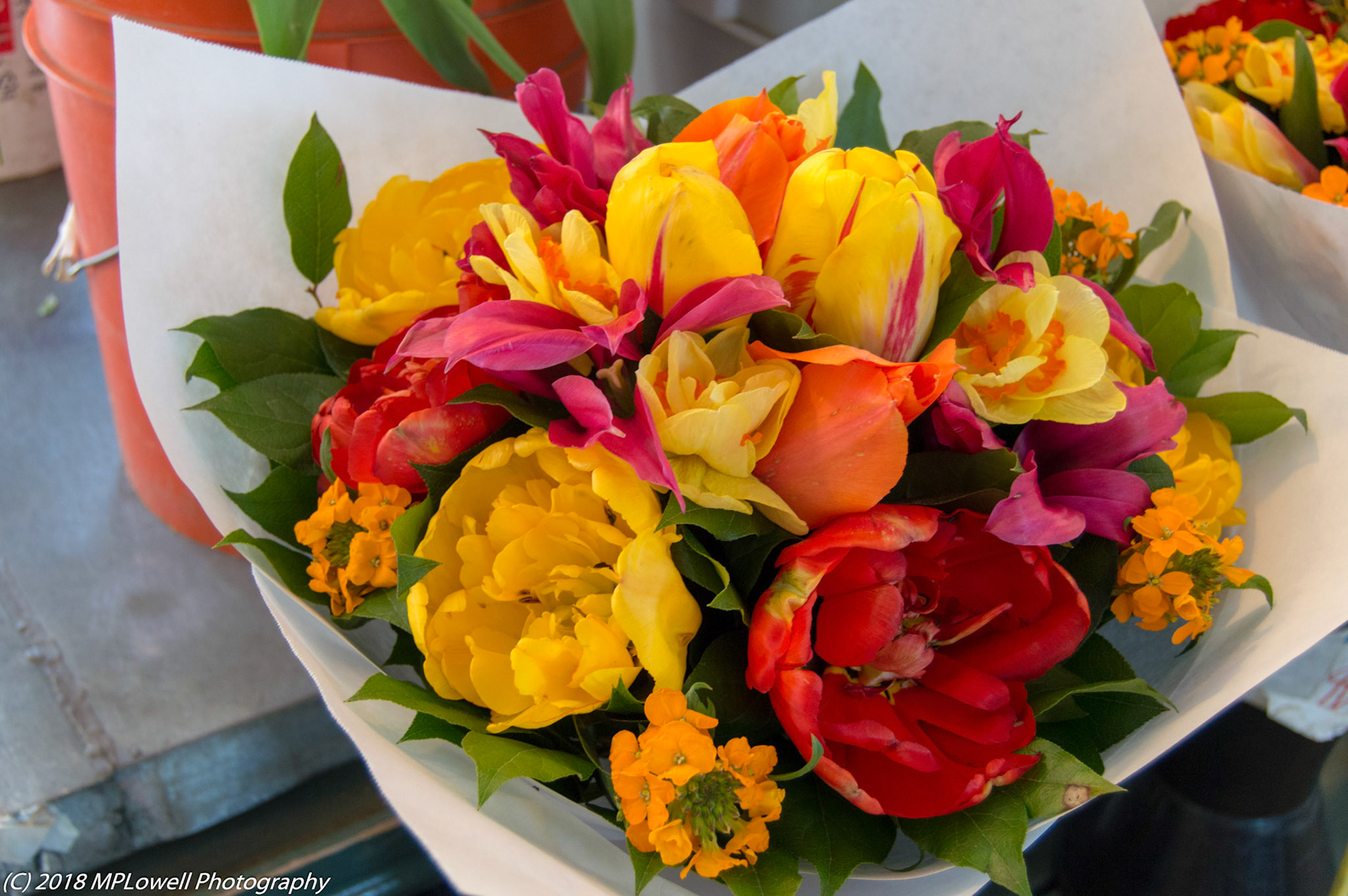 Beautiful flowers to purchase daily