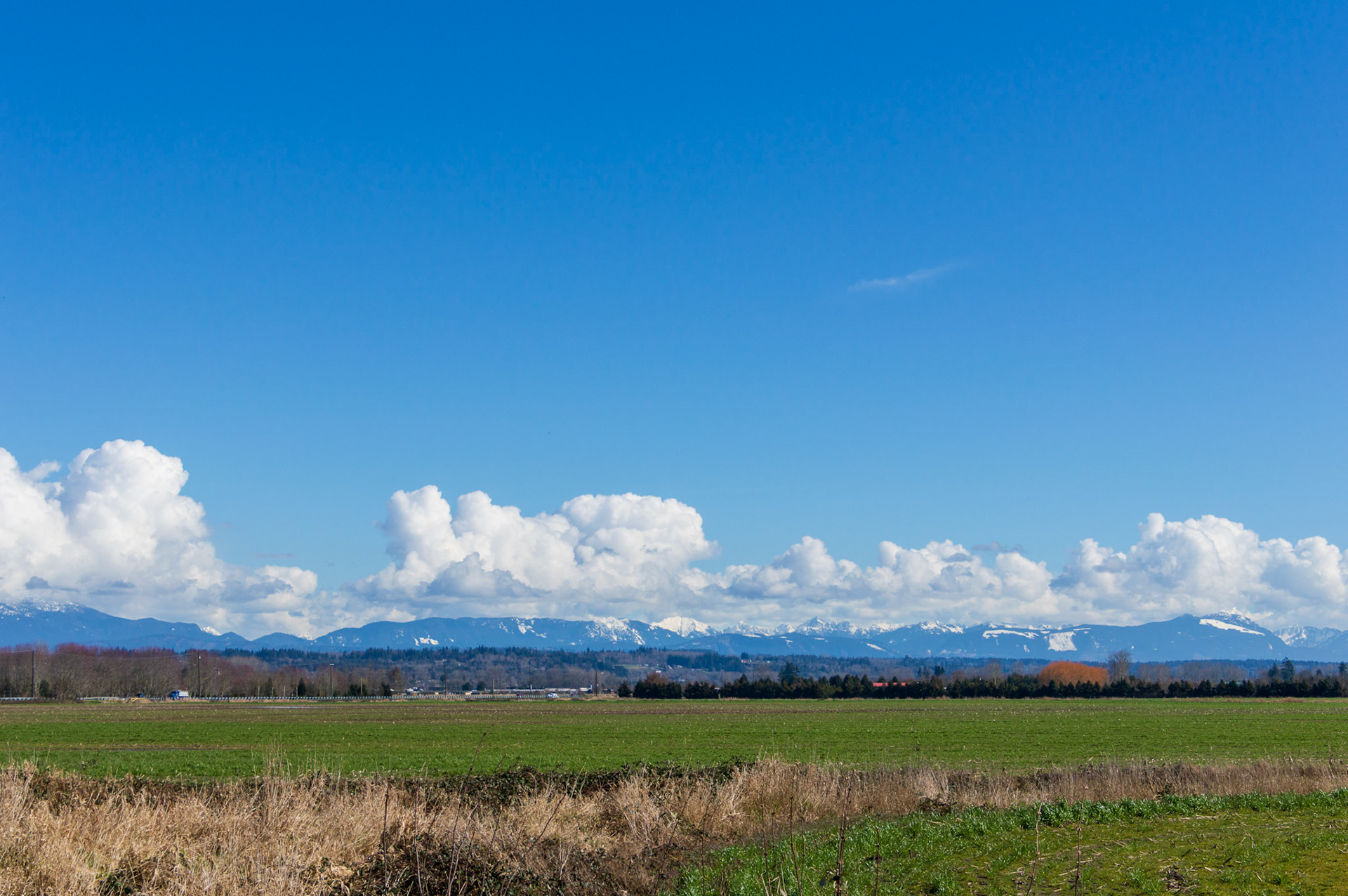 A few hours prior fog was s thick you could not see for 50 ft.