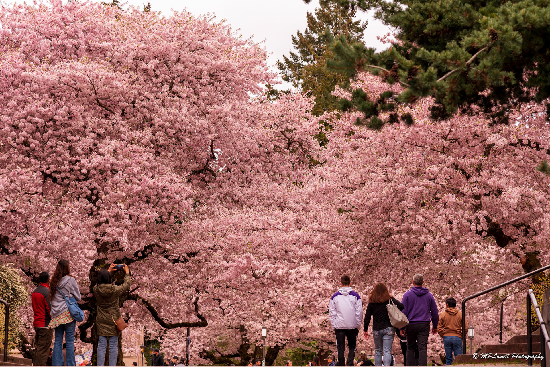 University of Washington