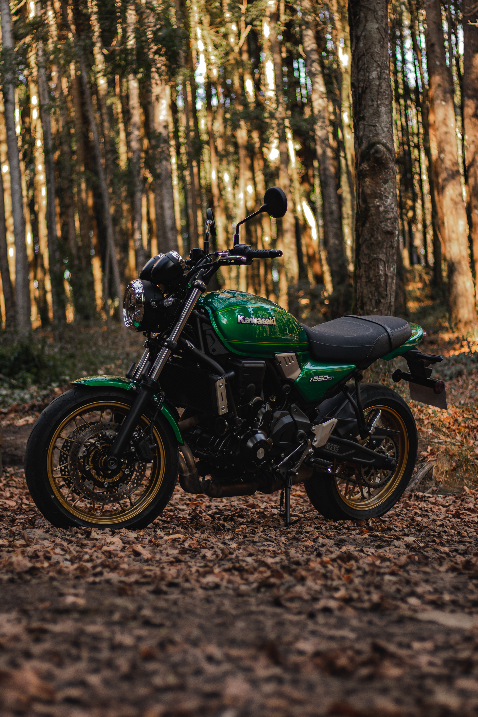 Kawasaki Z650RS