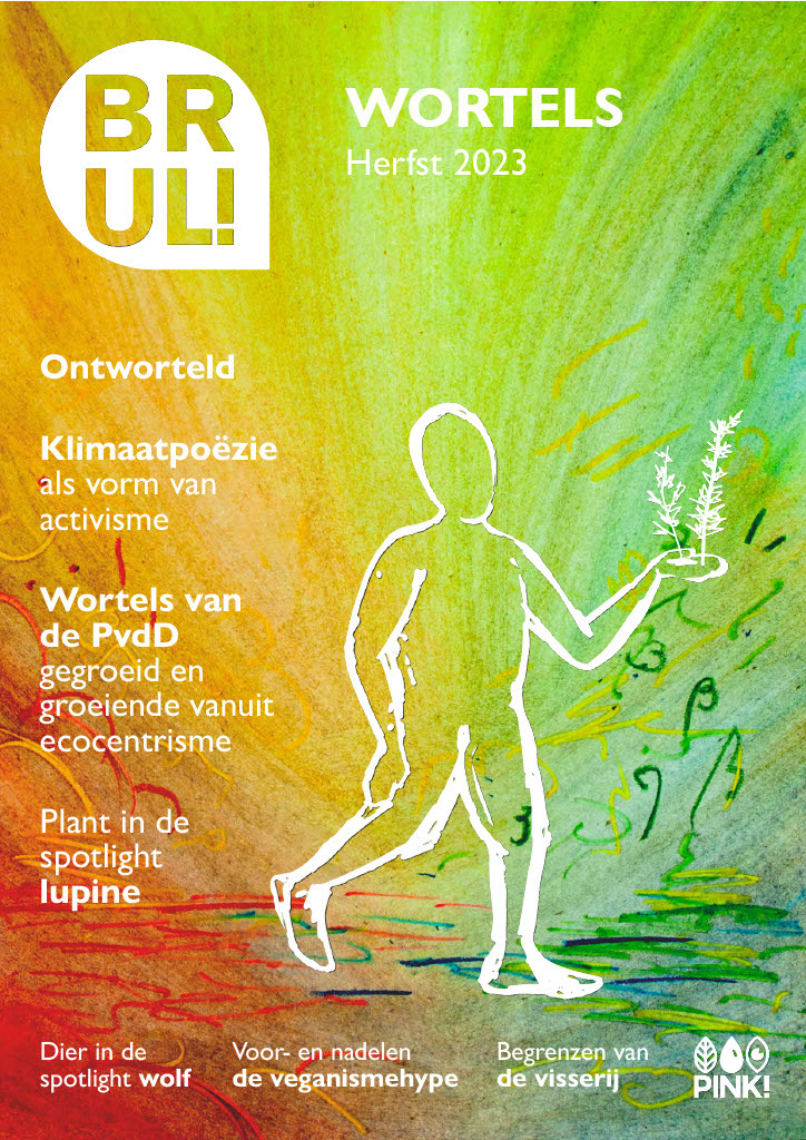 Cover BRUL! Herfst 2023