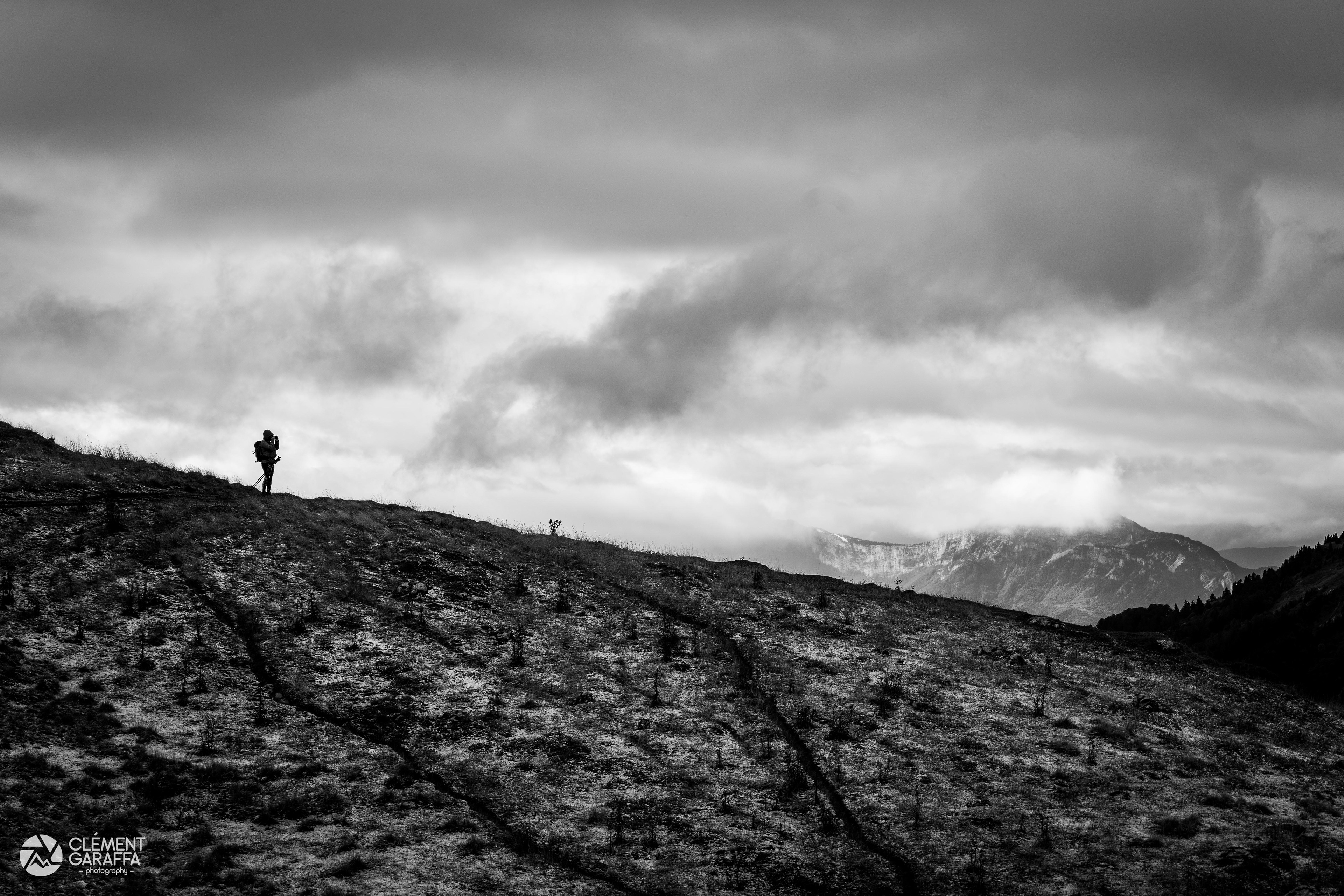 Silhouette en Chartreuse, 2020