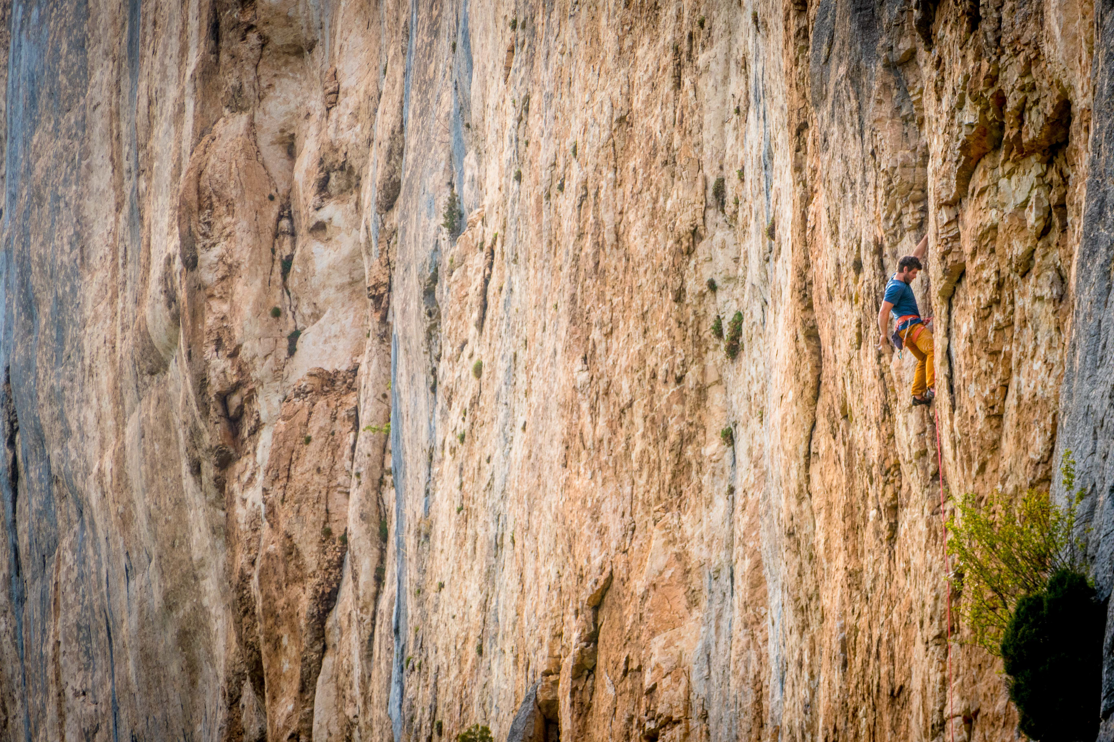 Falaise d'Anse, Omblèze, Vercors, 2019