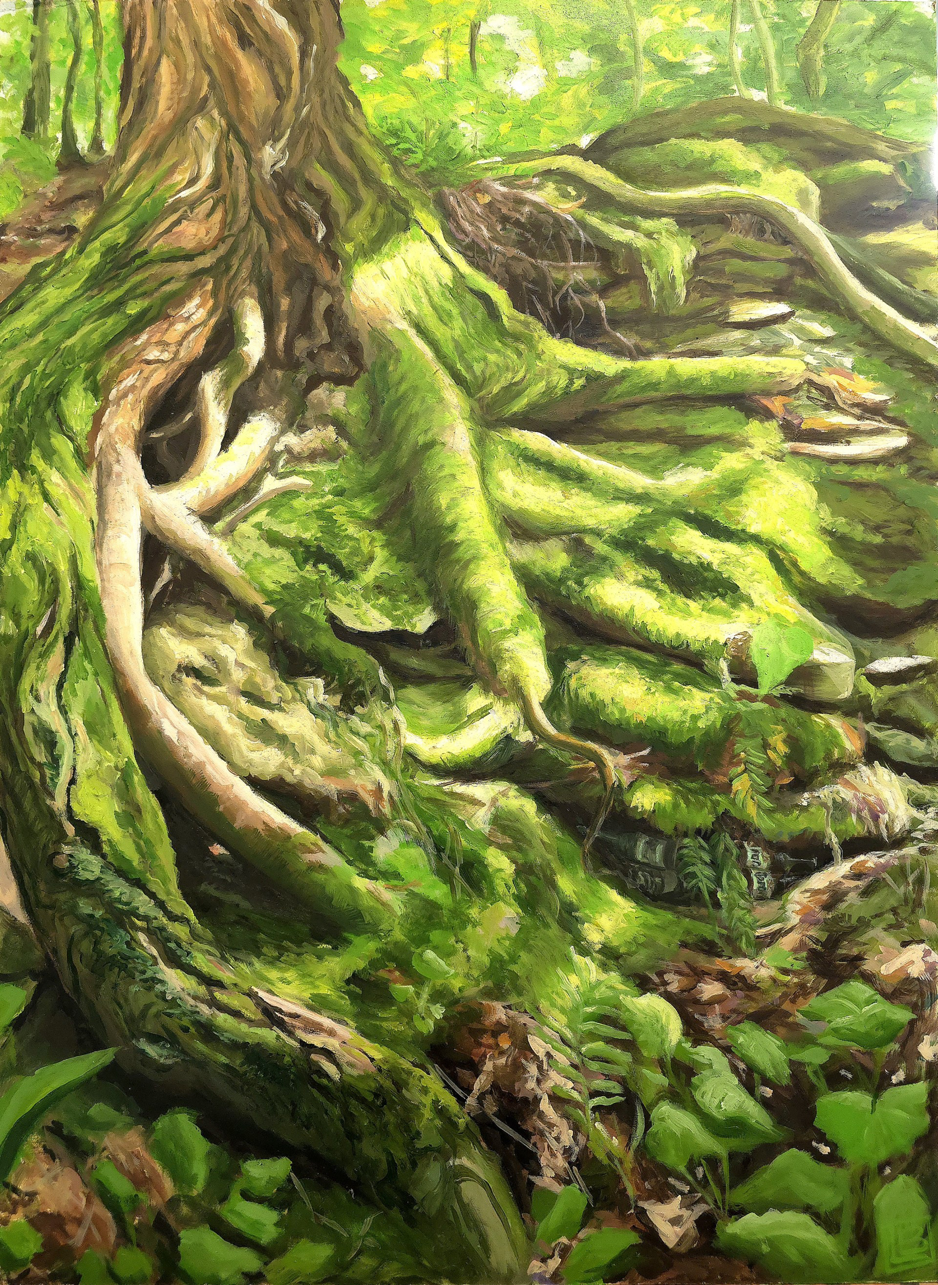 Gorge, 18x24in, Oil on Panel, July 2025