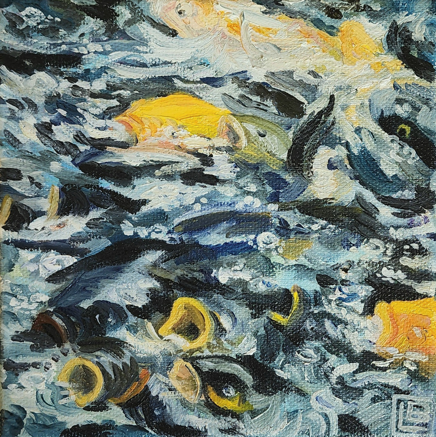 DO NOT FEED THE KOI, 4"x4", Oil on Canvas, April 2024