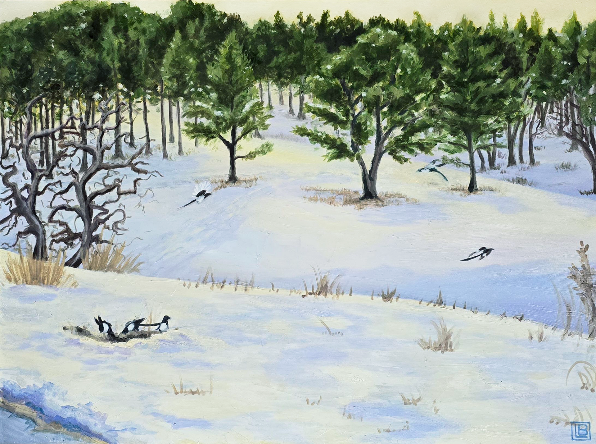 Magpies/WY24, 18x24in, Oil on Panel, April 2025