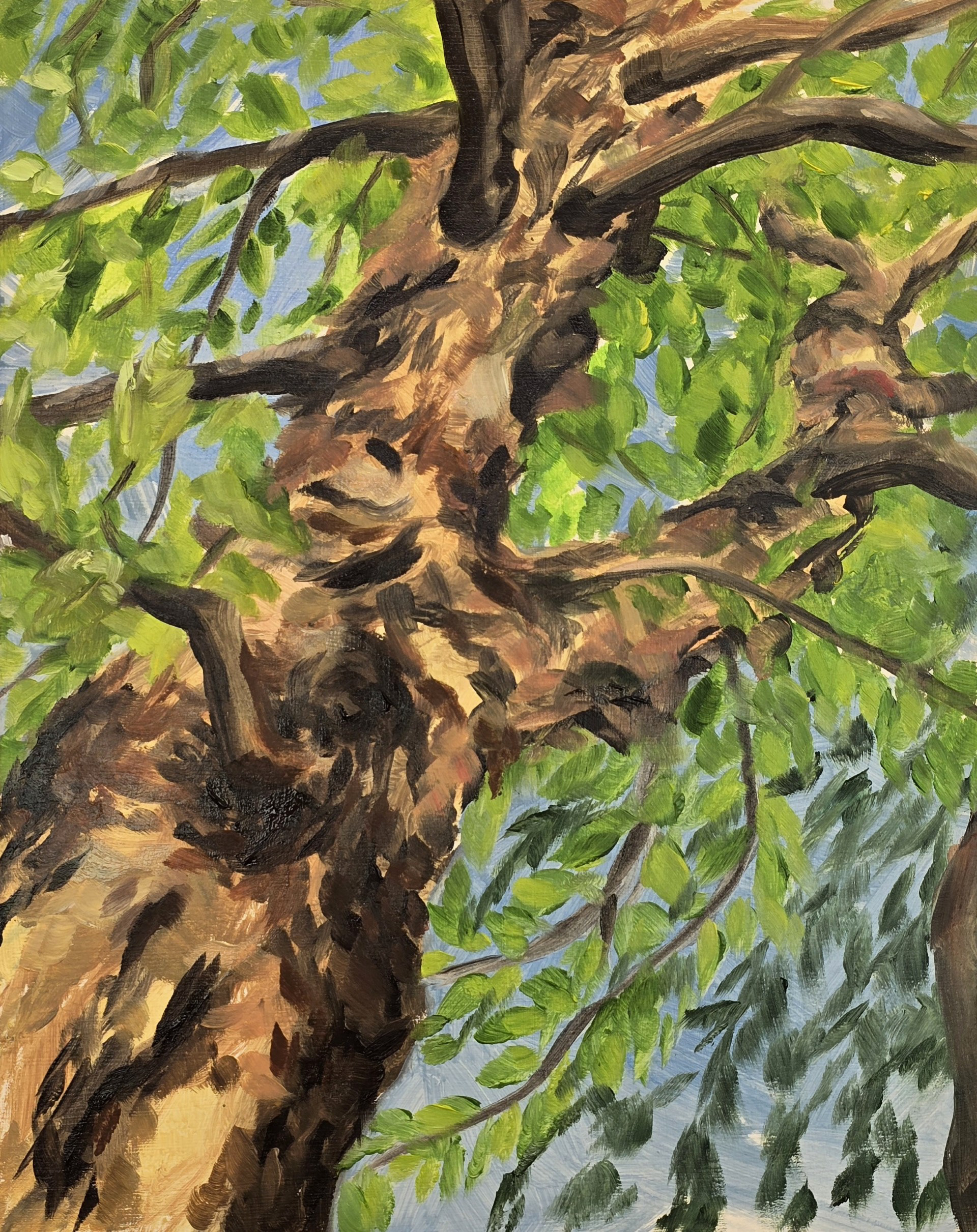 River Birch, 8x10in, Oil on Panel, July 2025