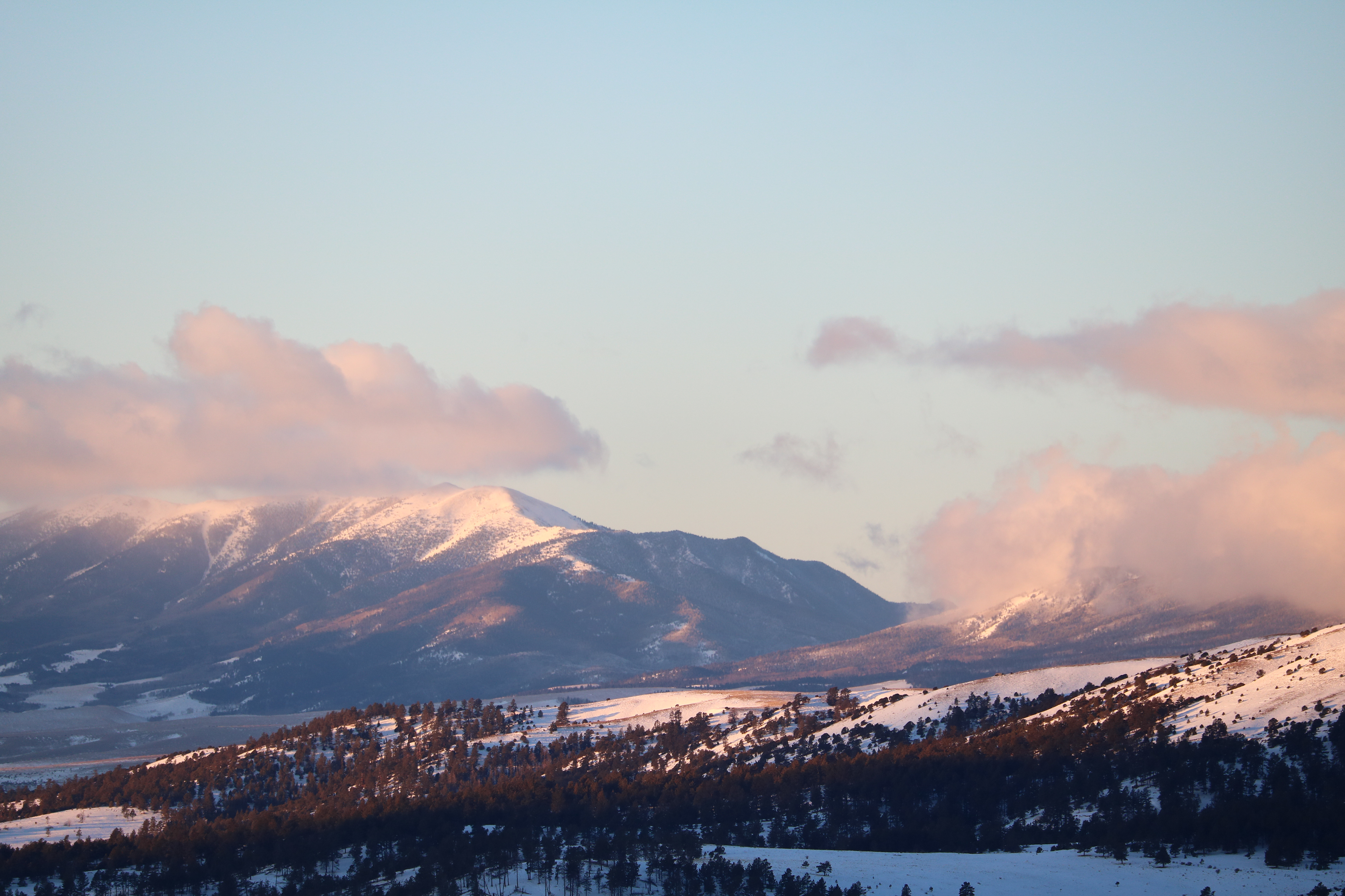 Colorado, 2019