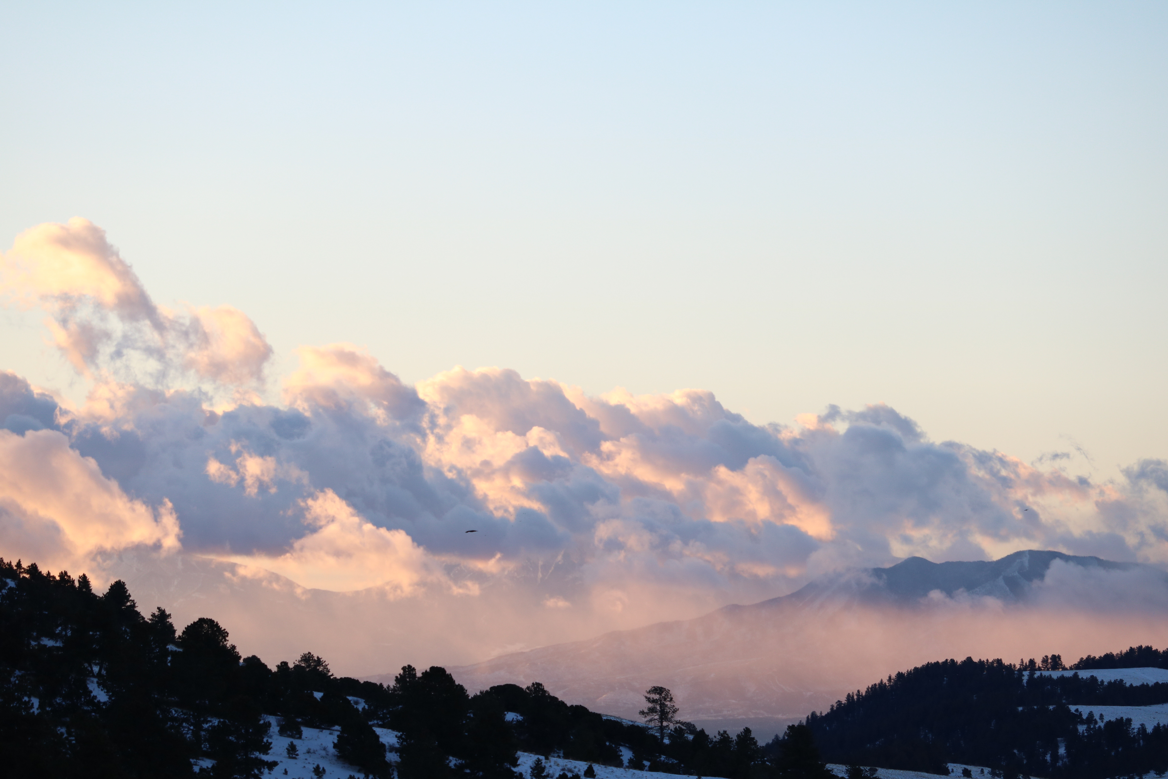 Colorado, 2019