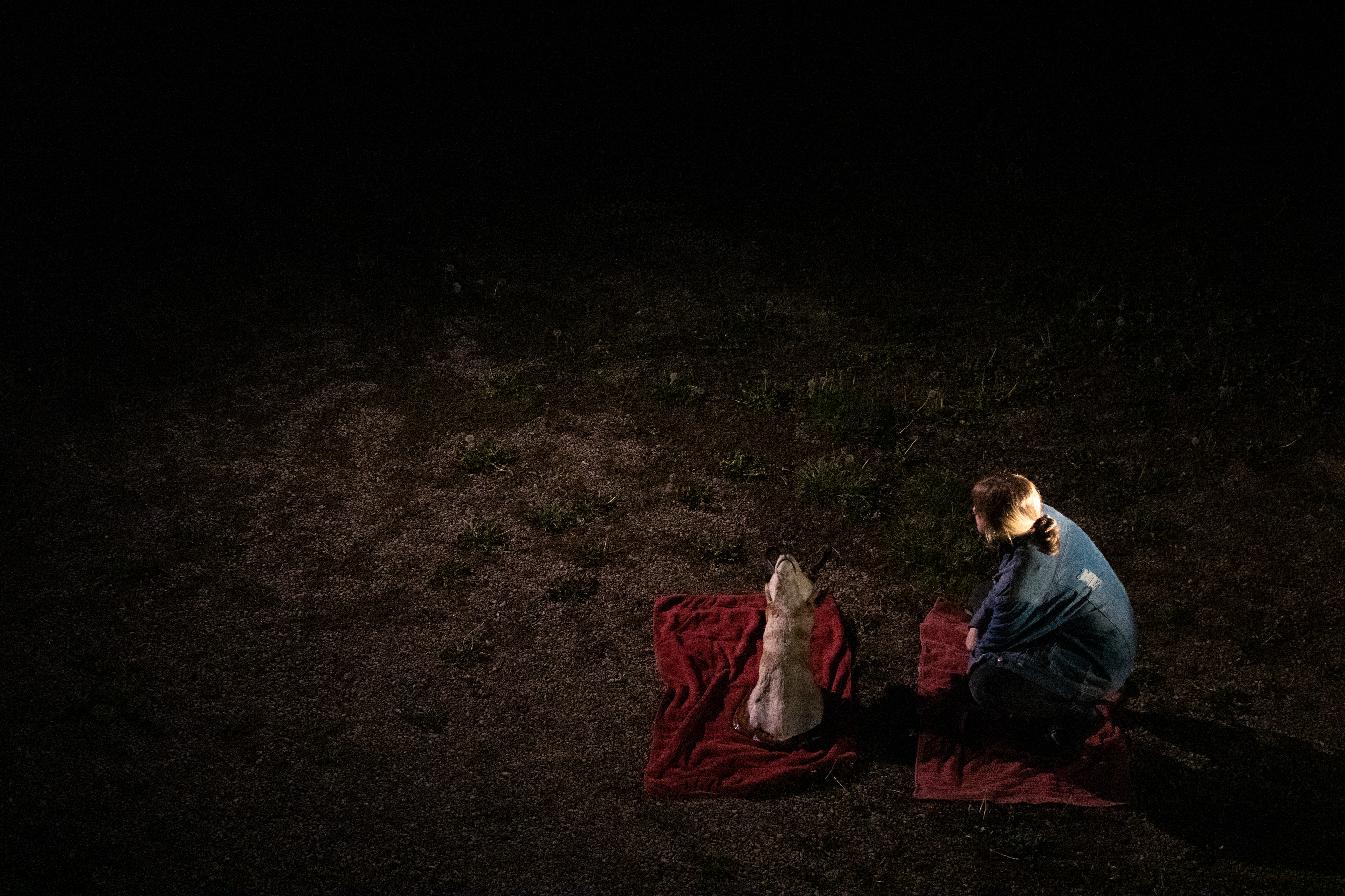 "Deerslayer" BTS, 2021