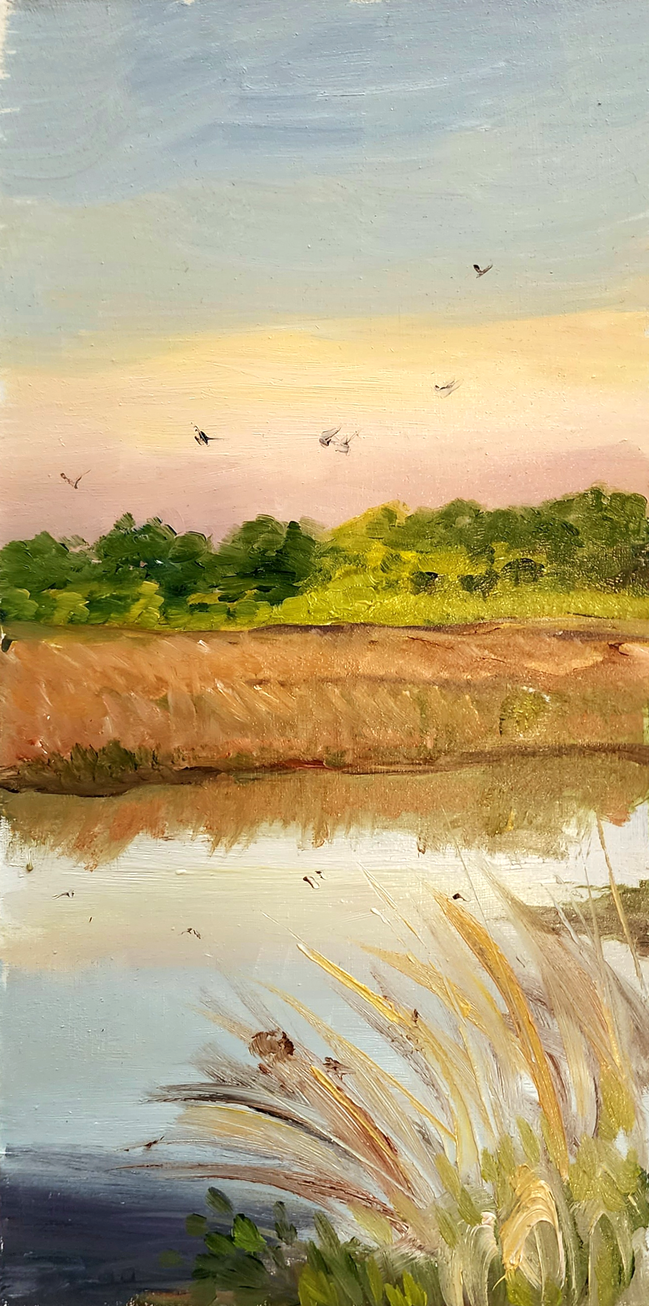 Baker Wetlands at Sunset, 4"x8", Oil on Panel, 2023