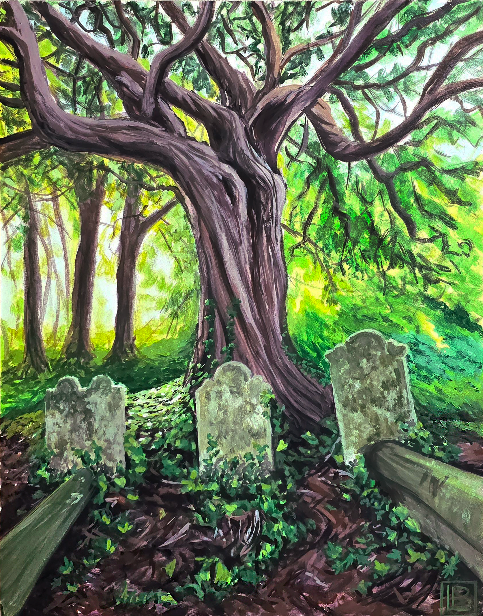 Old Yew, 11x14in, Gouache on Panel, May 2025