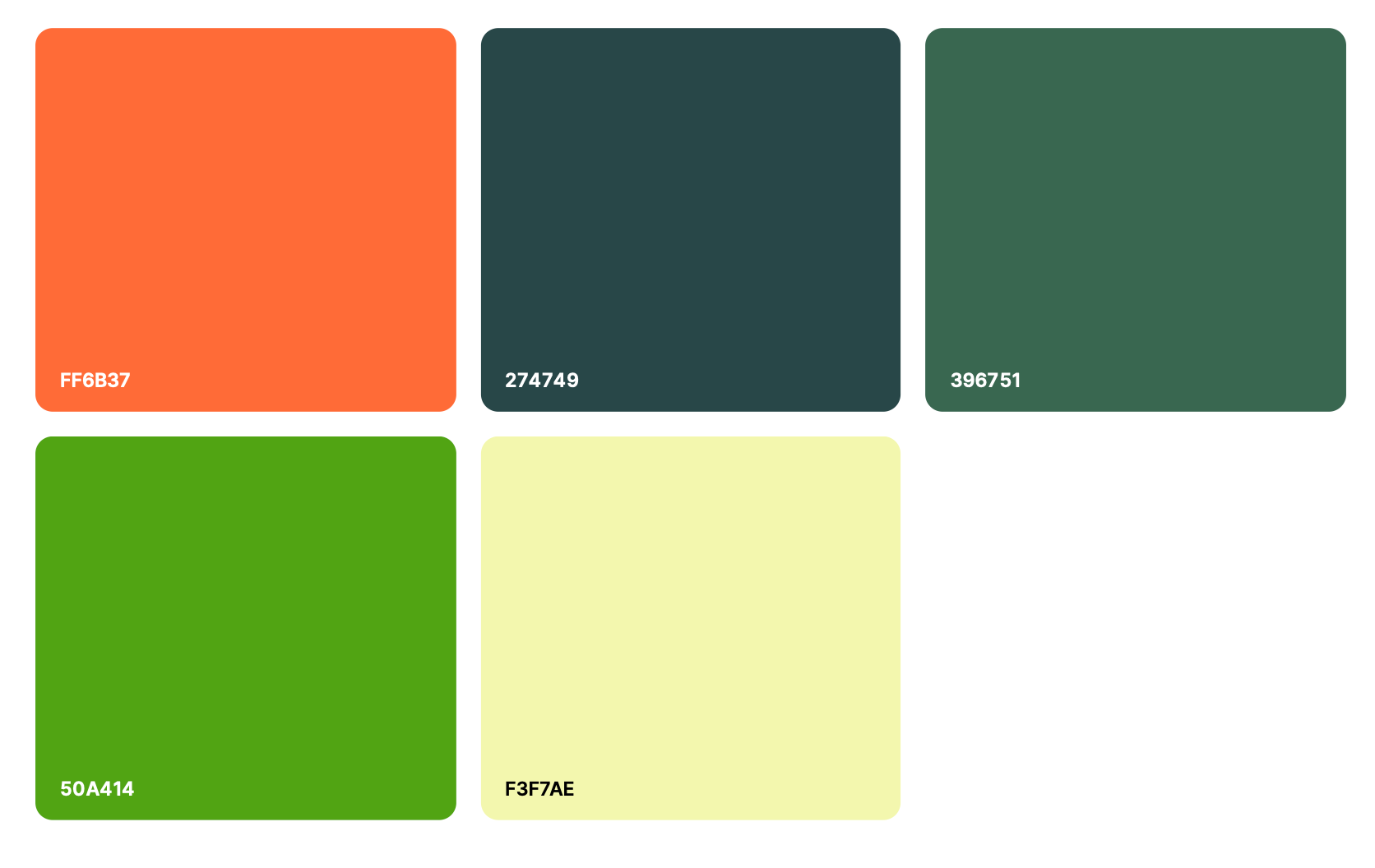 Color Scheme