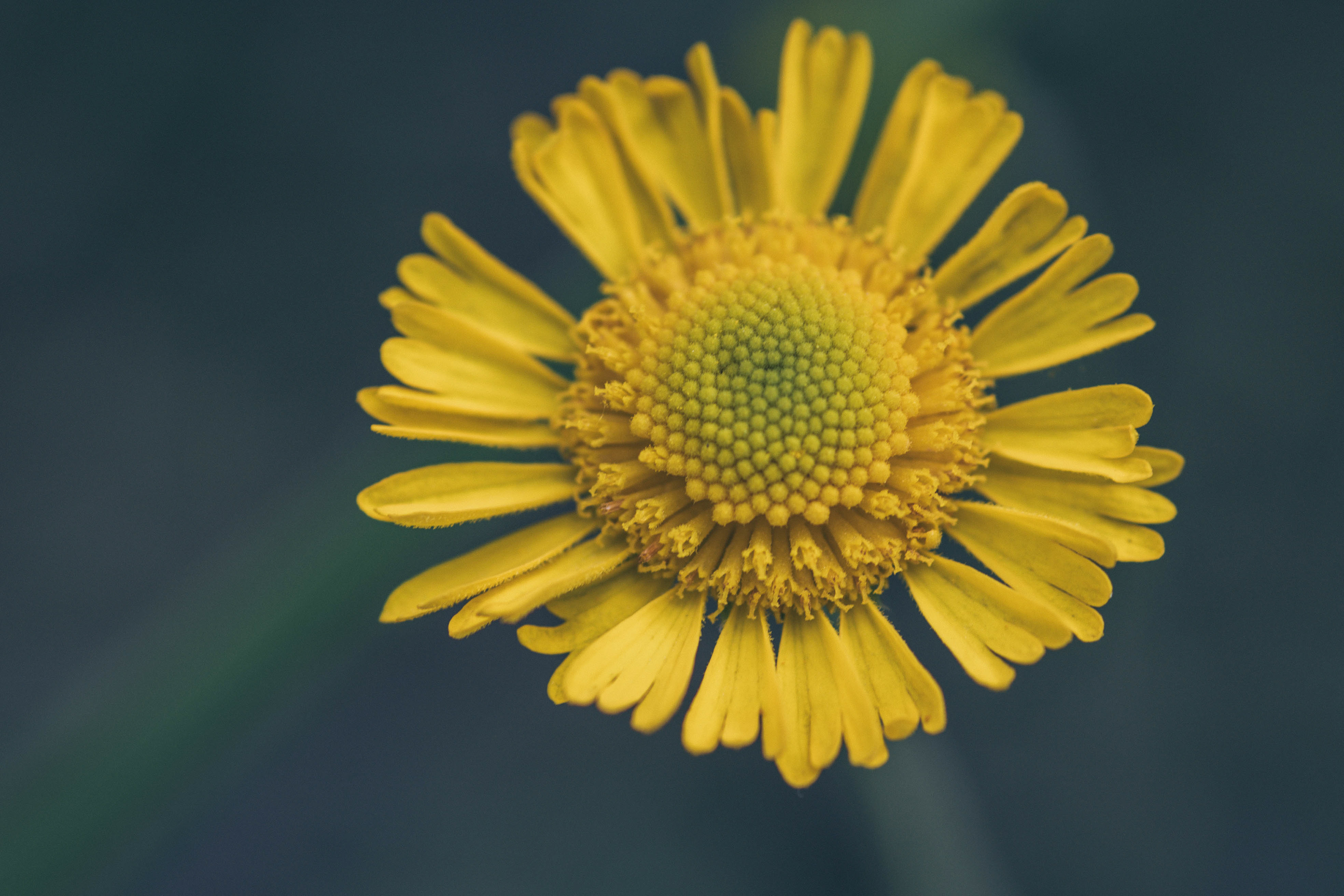 Digital Photography - April ‎3, ‎2019