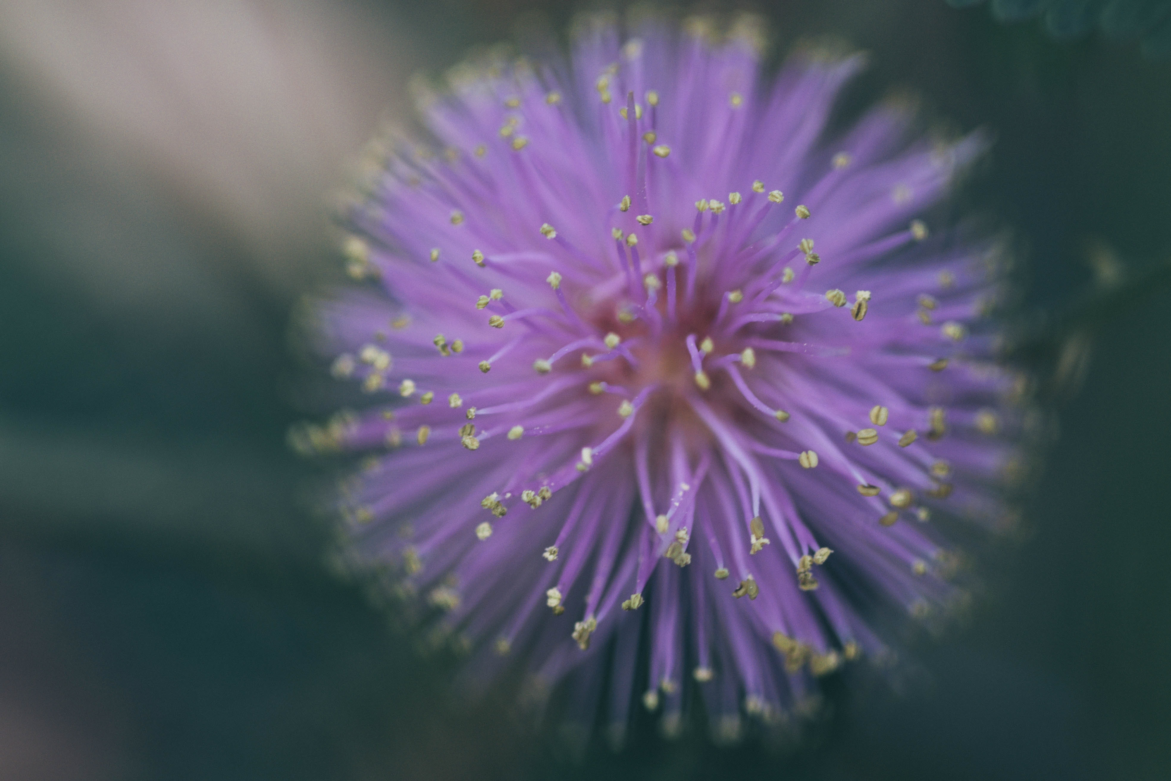 Digital Photography - April ‎3, ‎2019