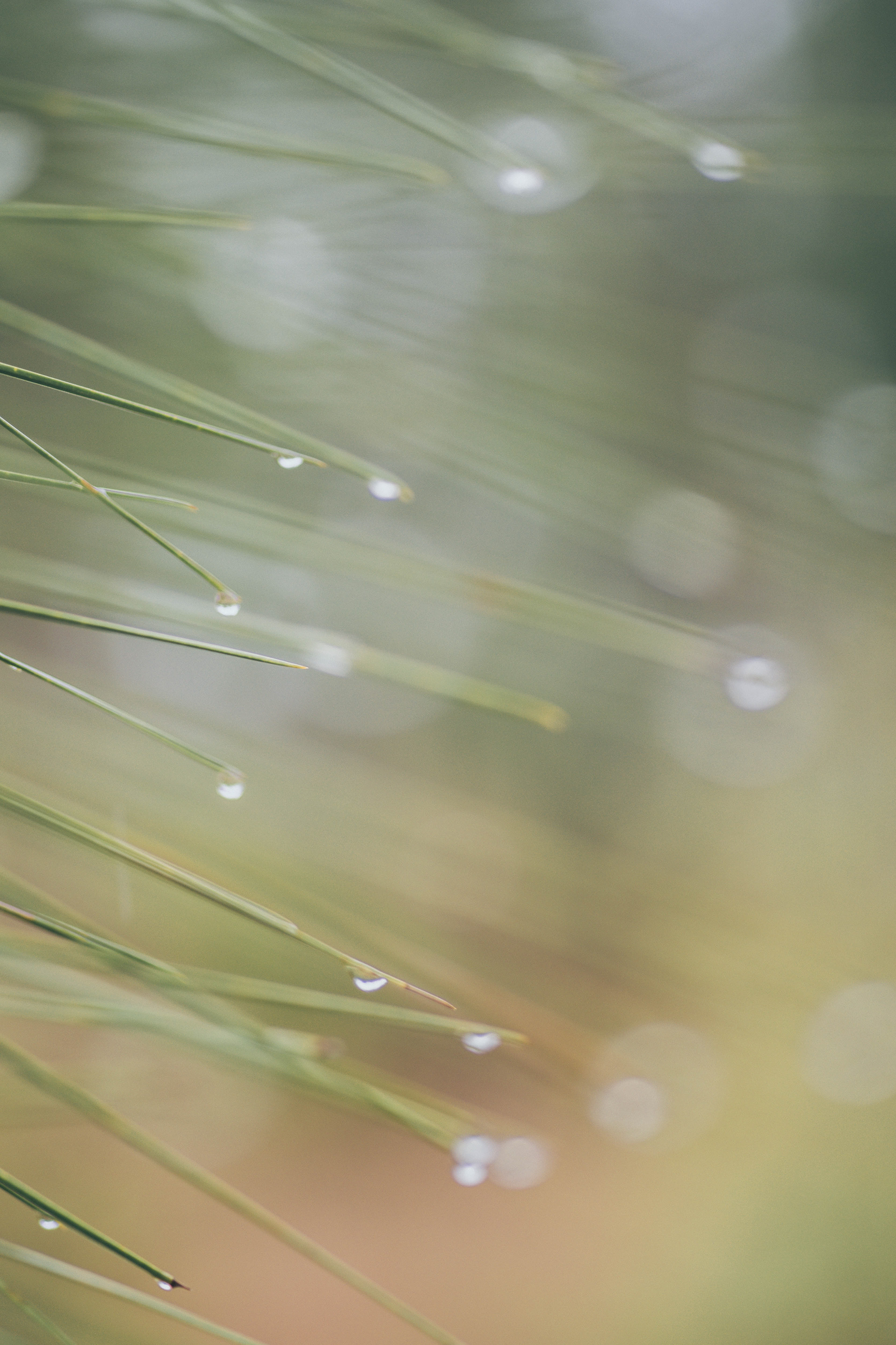 Digital Photography - April ‎3, ‎2019