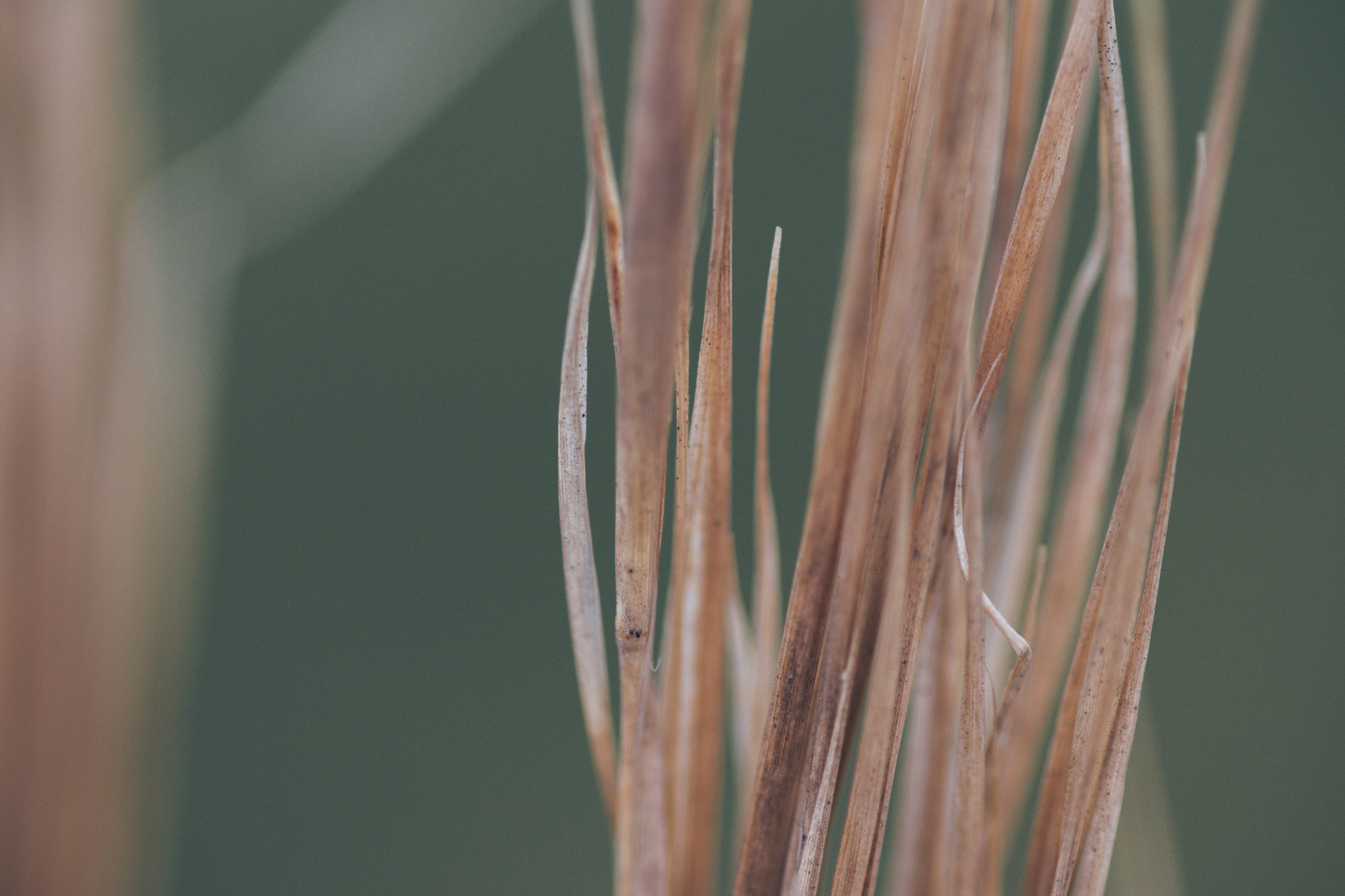 Digital Photography - April ‎3, ‎2019