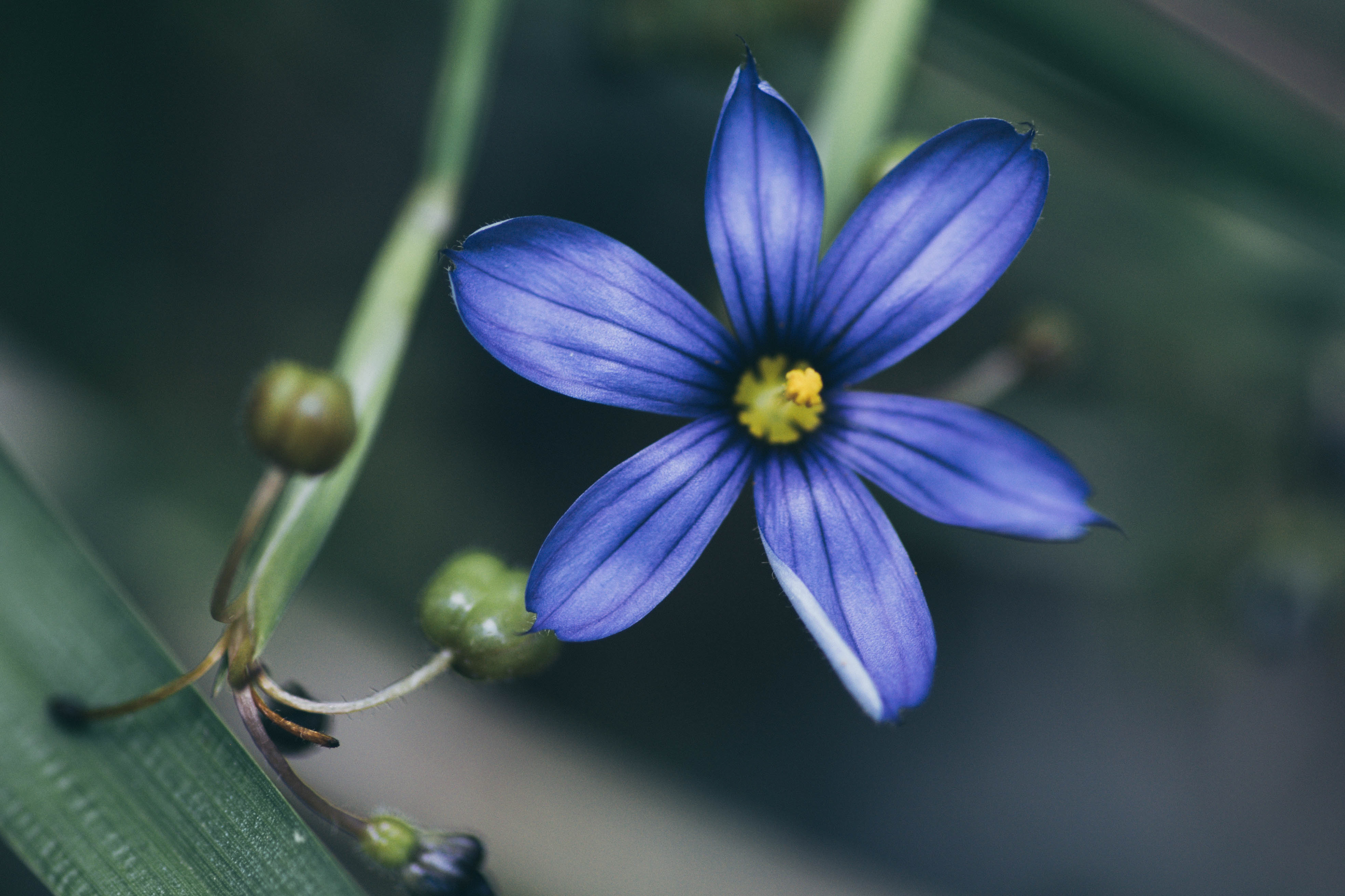 Digital Photography - April ‎3, ‎2019