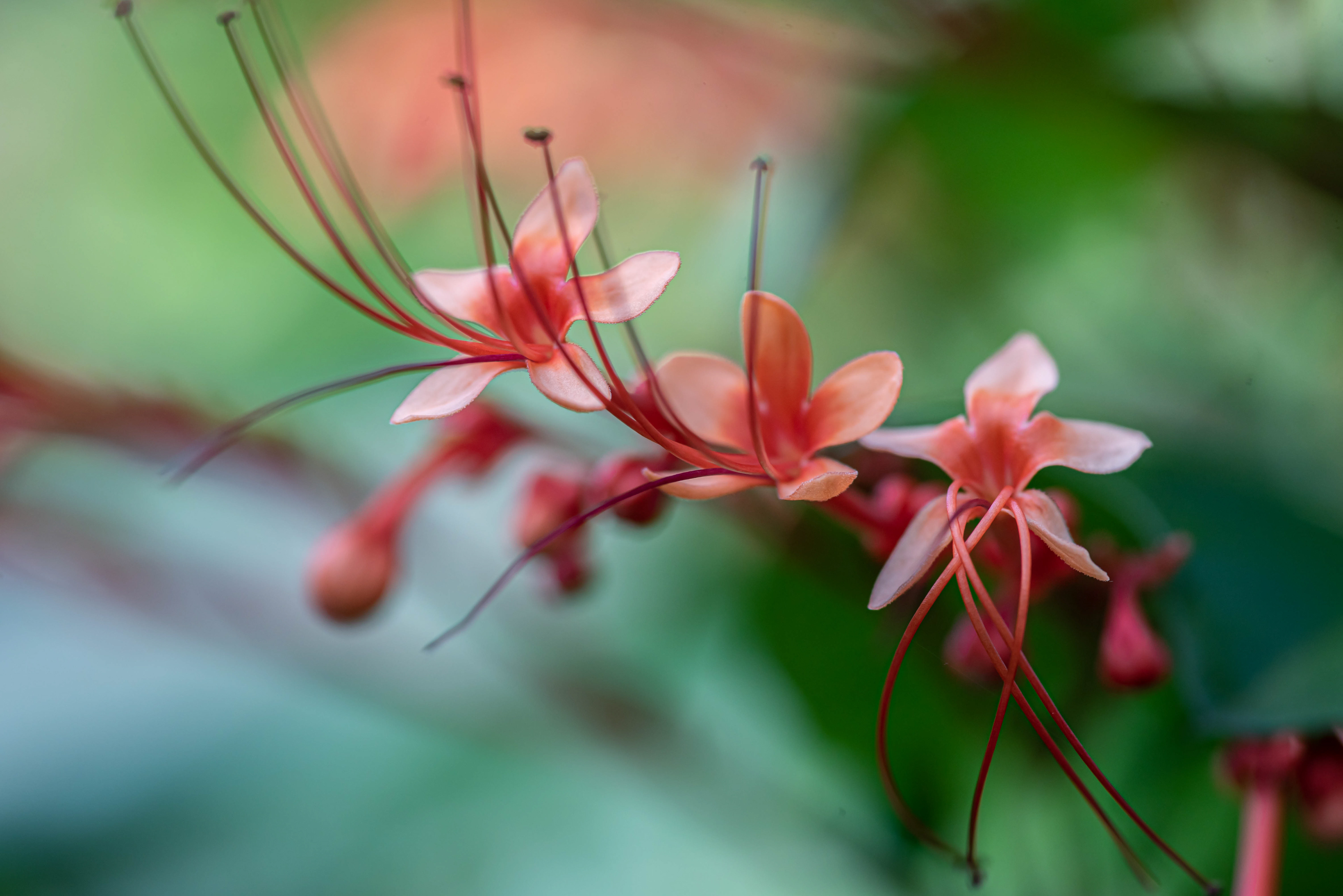 Digital Photography - ‎September ‎7, ‎2019