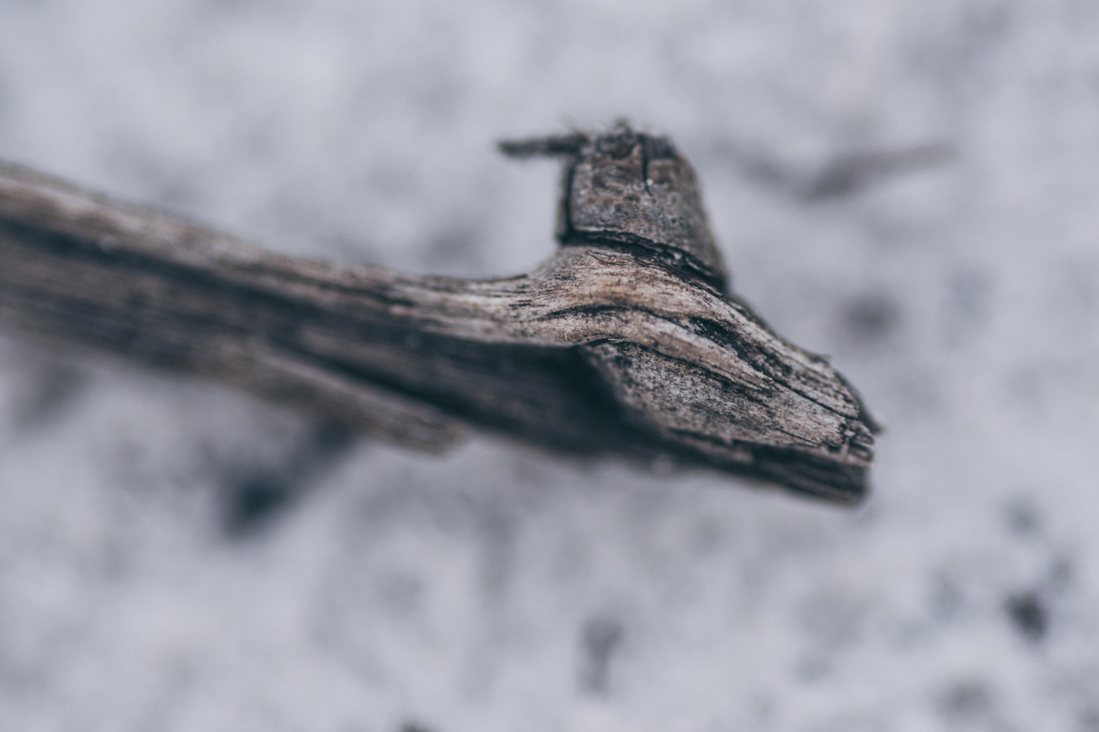 Digital Photography - April ‎3, ‎2019