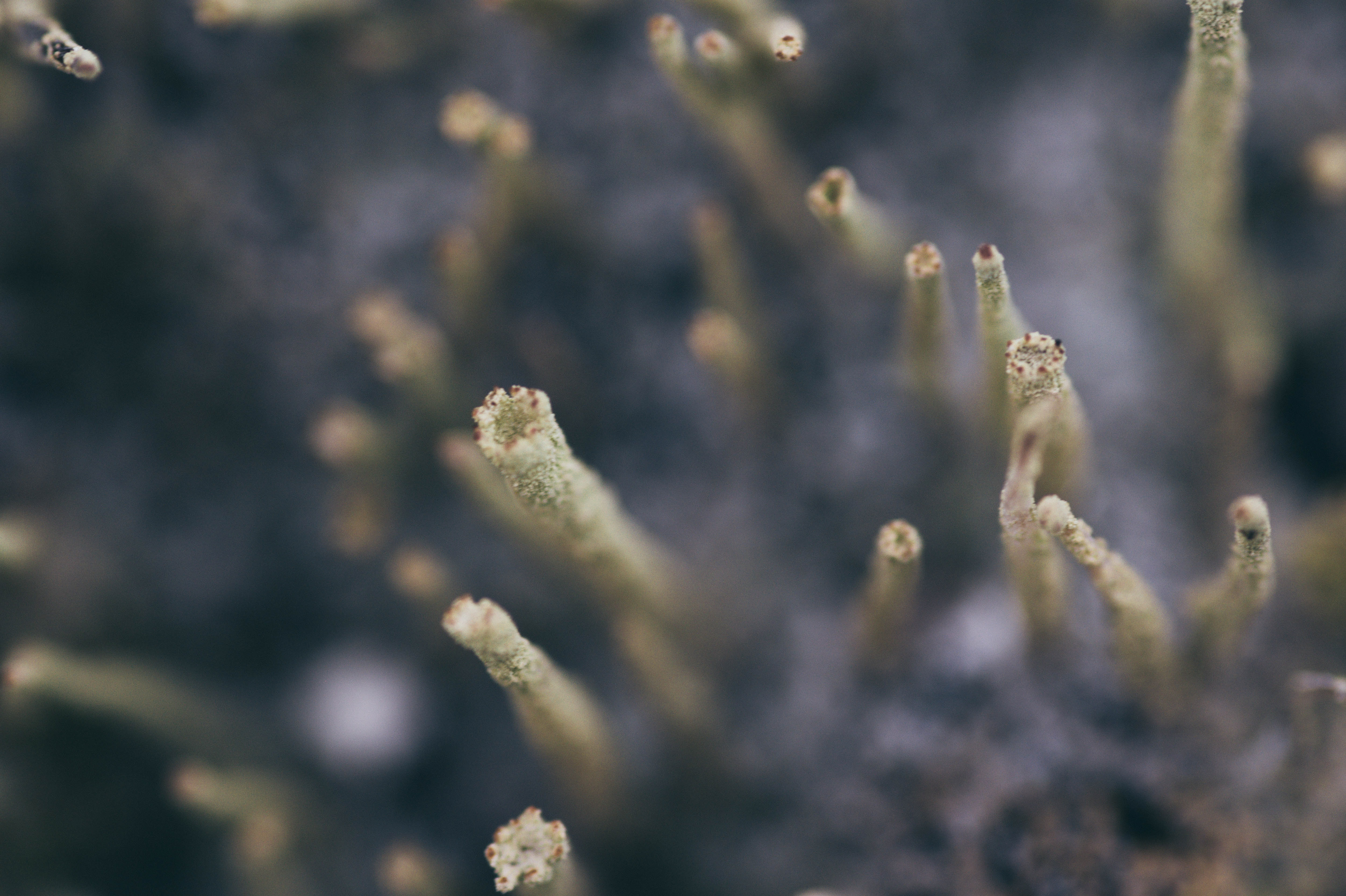 Digital Photography - April ‎3, ‎2019