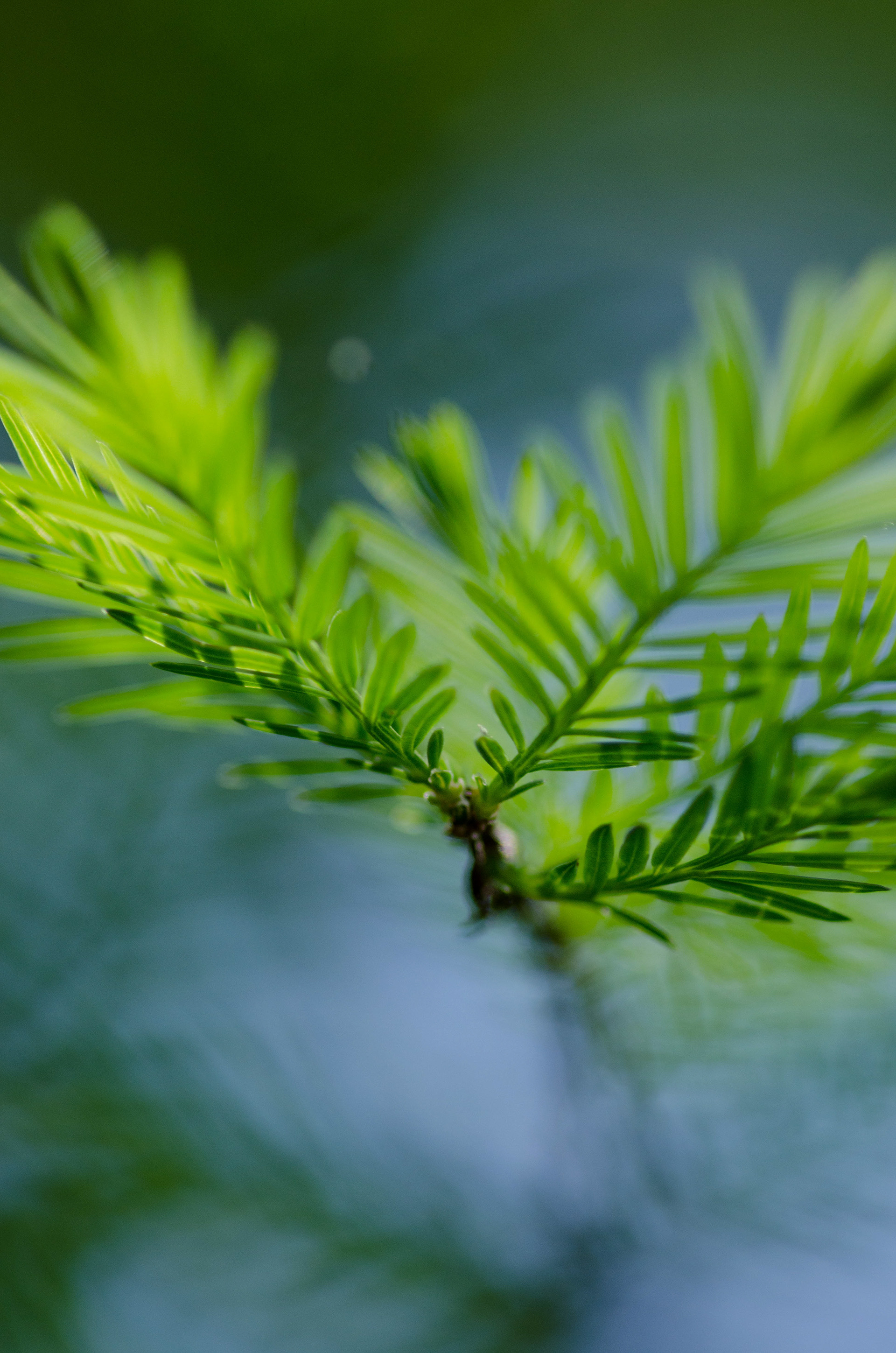 Digital Photography - April ‎15, ‎2014