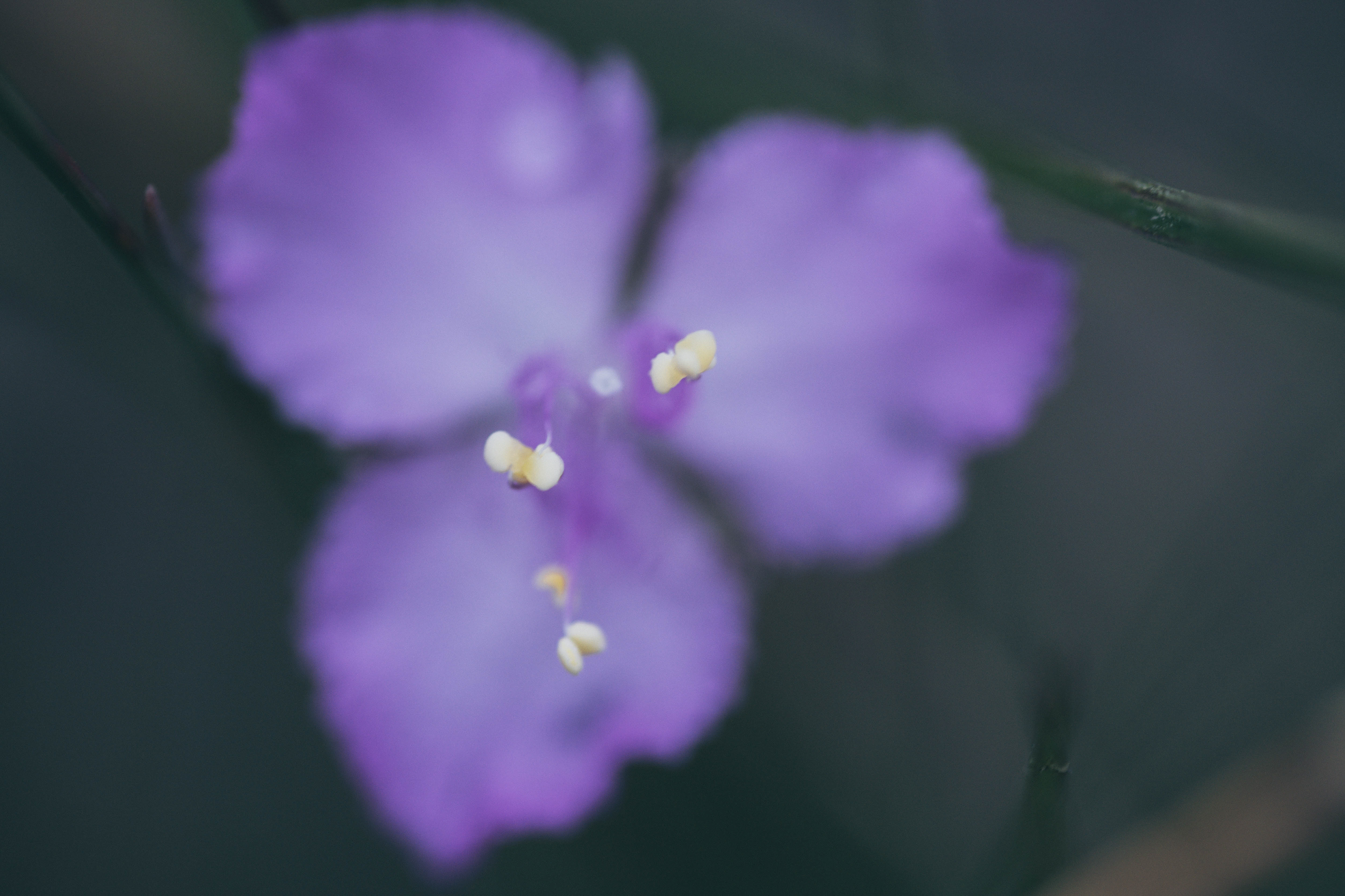 Digital Photography - April ‎3, ‎2019