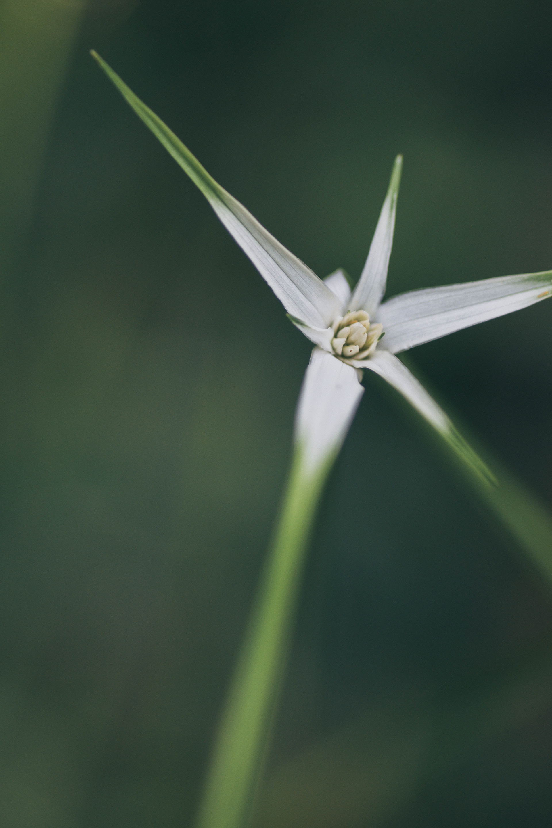 Digital Photography - April ‎3, ‎2019