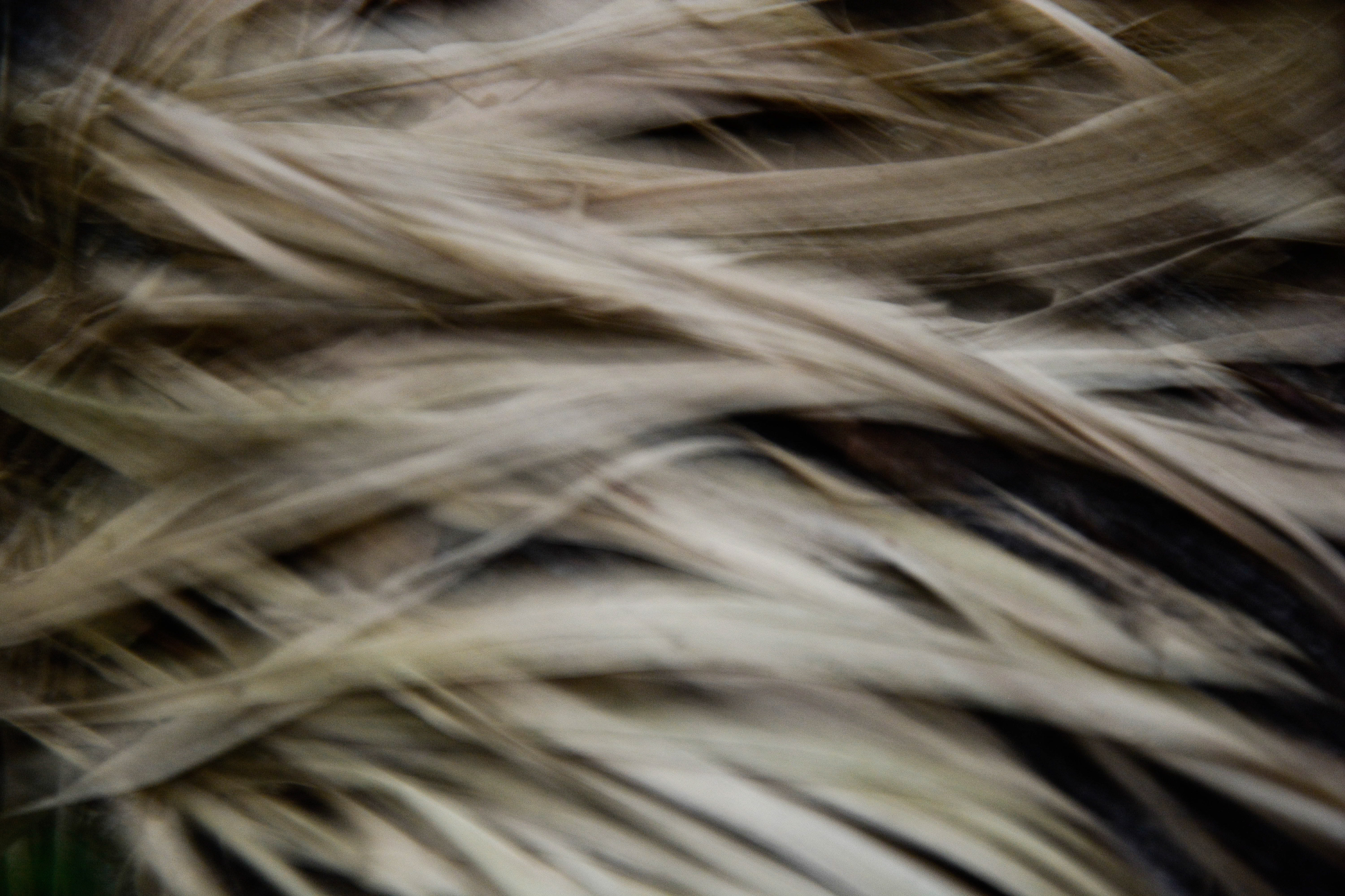 Digital Photography - April ‎15, ‎2014