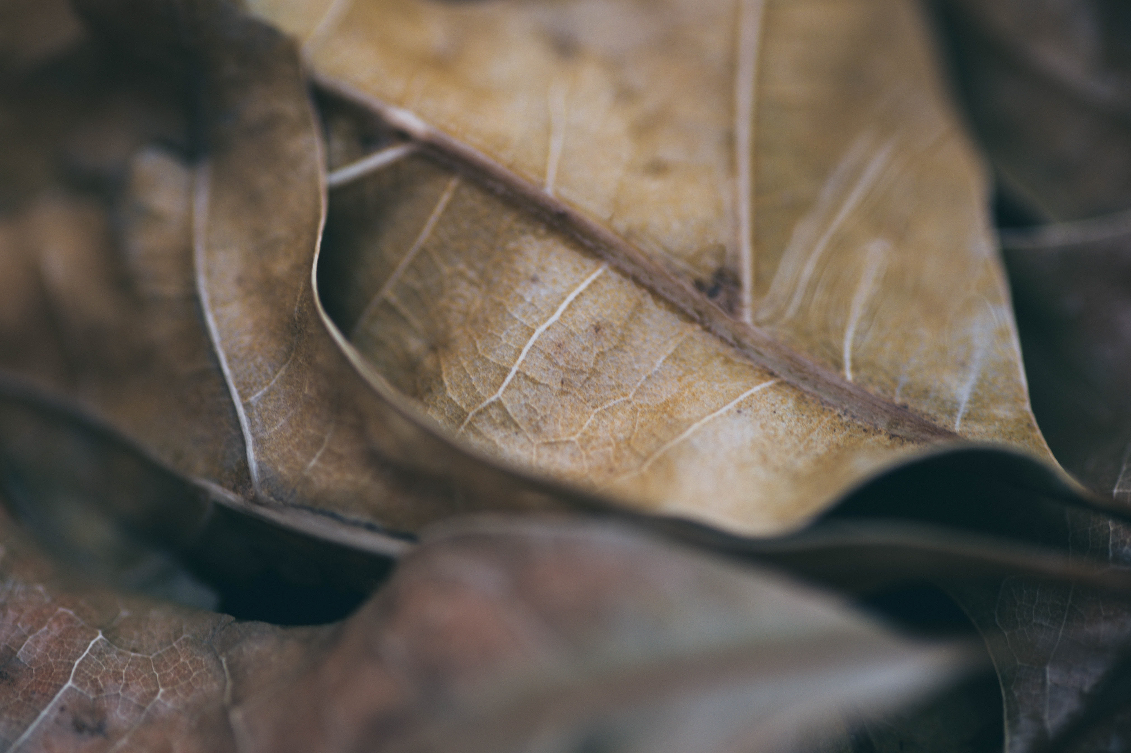 Digital Photography - April ‎3, ‎2019