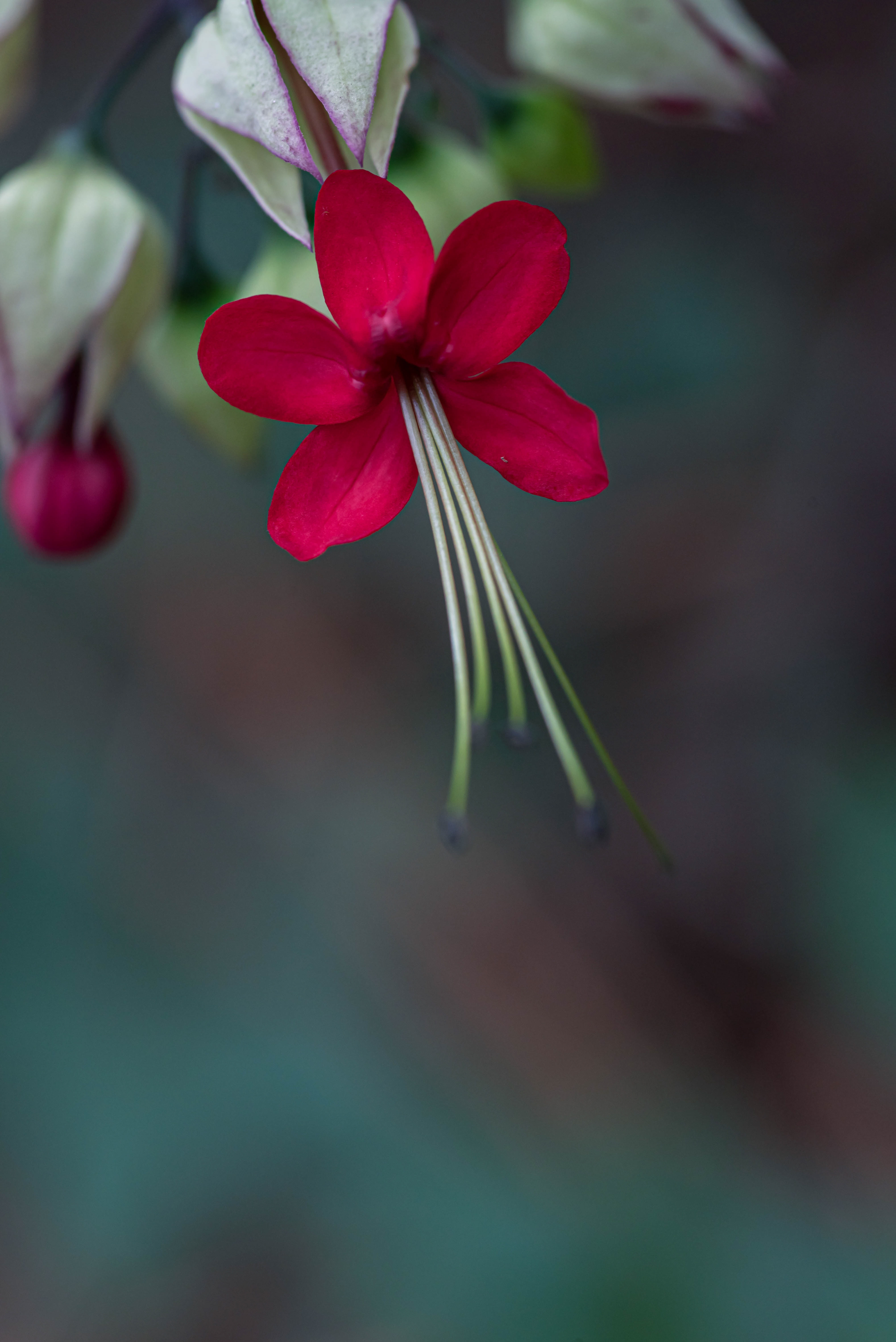 Digital Photography - ‎September ‎7, ‎2019