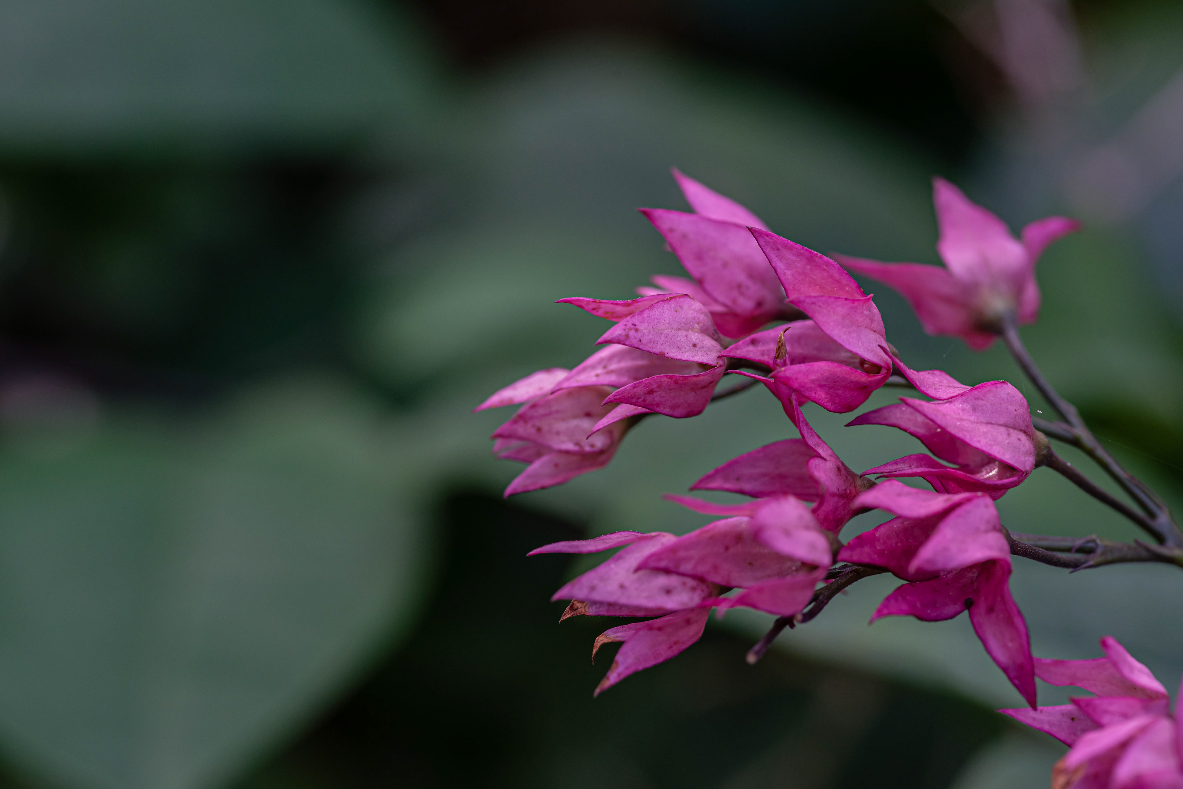 Digital Photography - ‎September ‎7, ‎2019