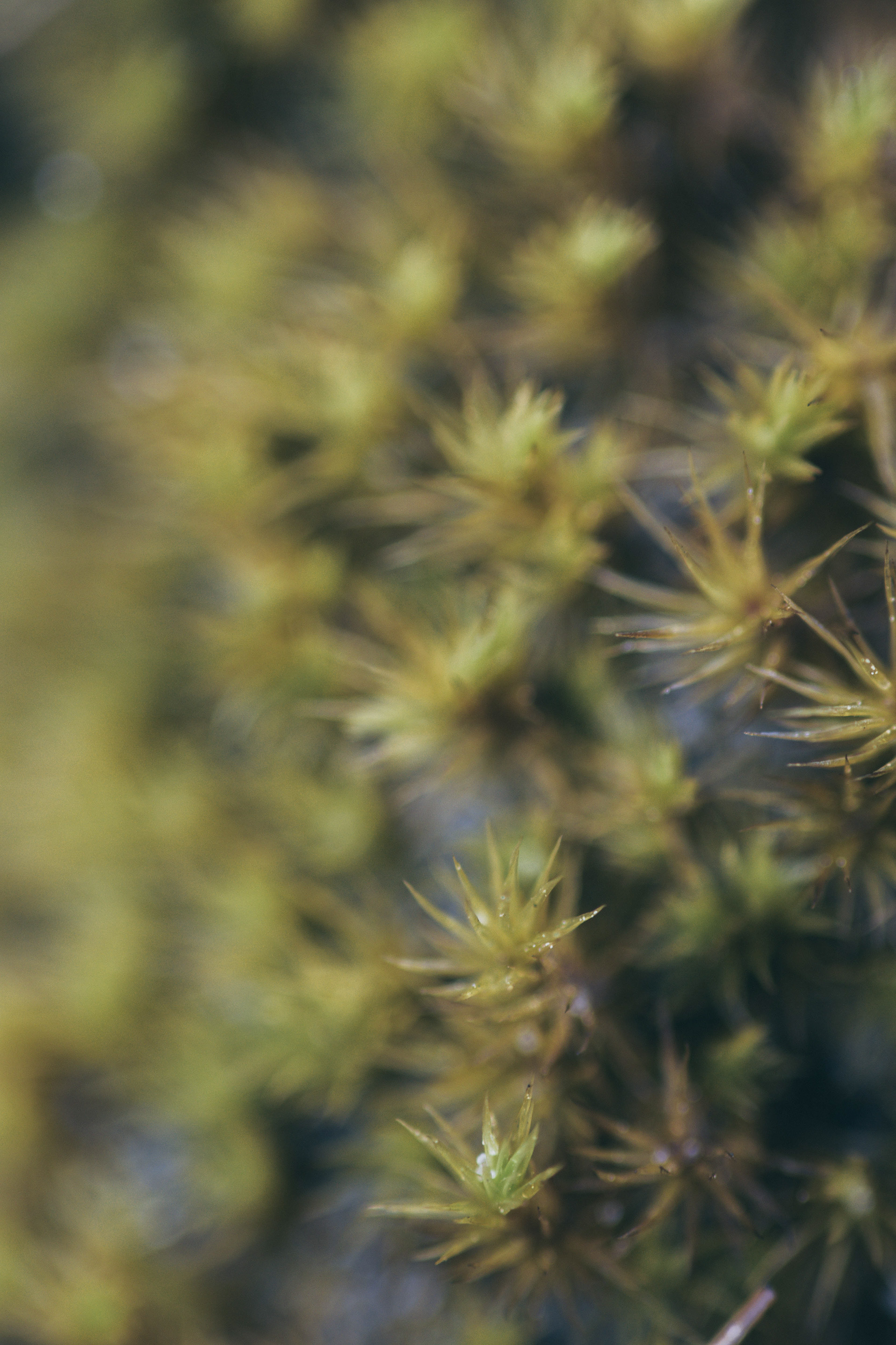 Digital Photography - April ‎3, ‎2019