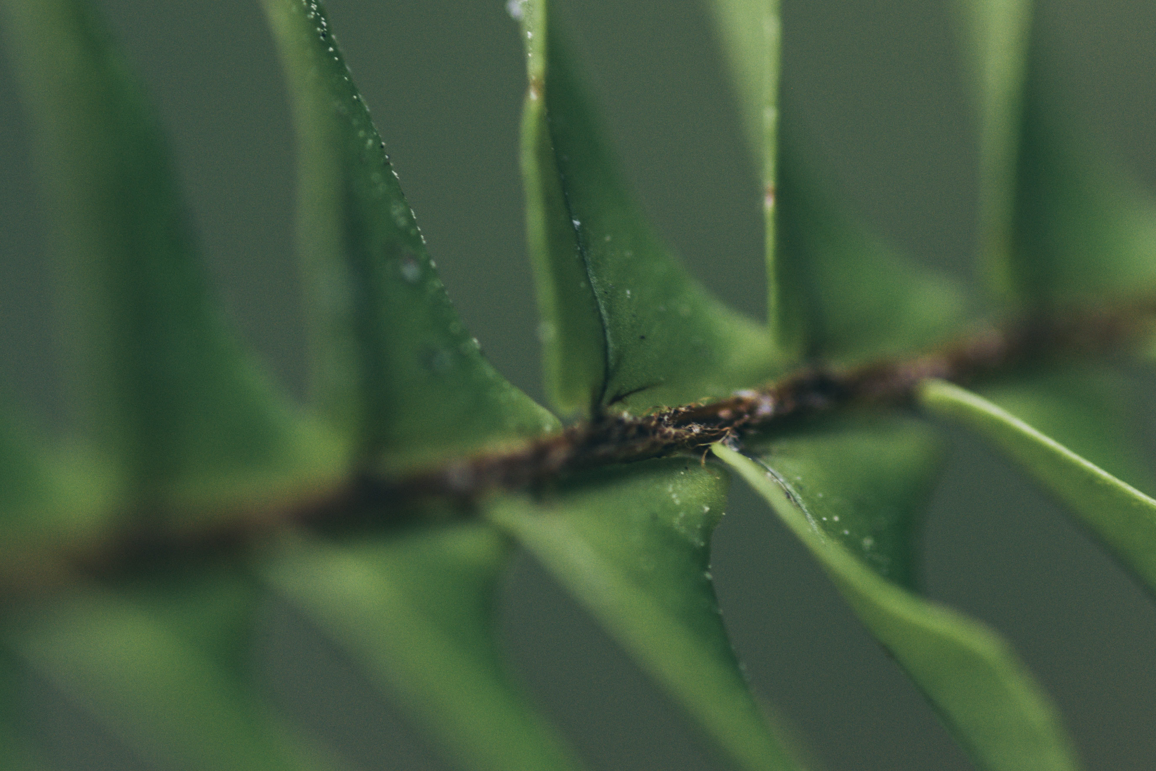 Digital Photography - April ‎3, ‎2019