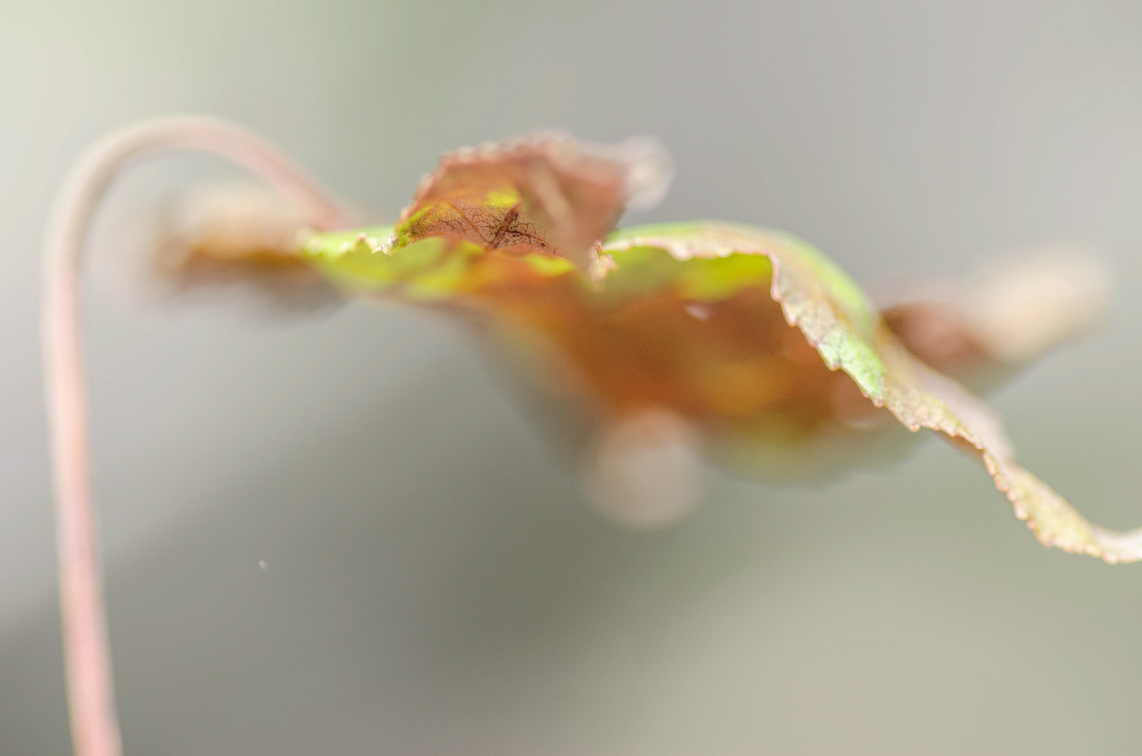 Digital Photography - April ‎15, ‎2014