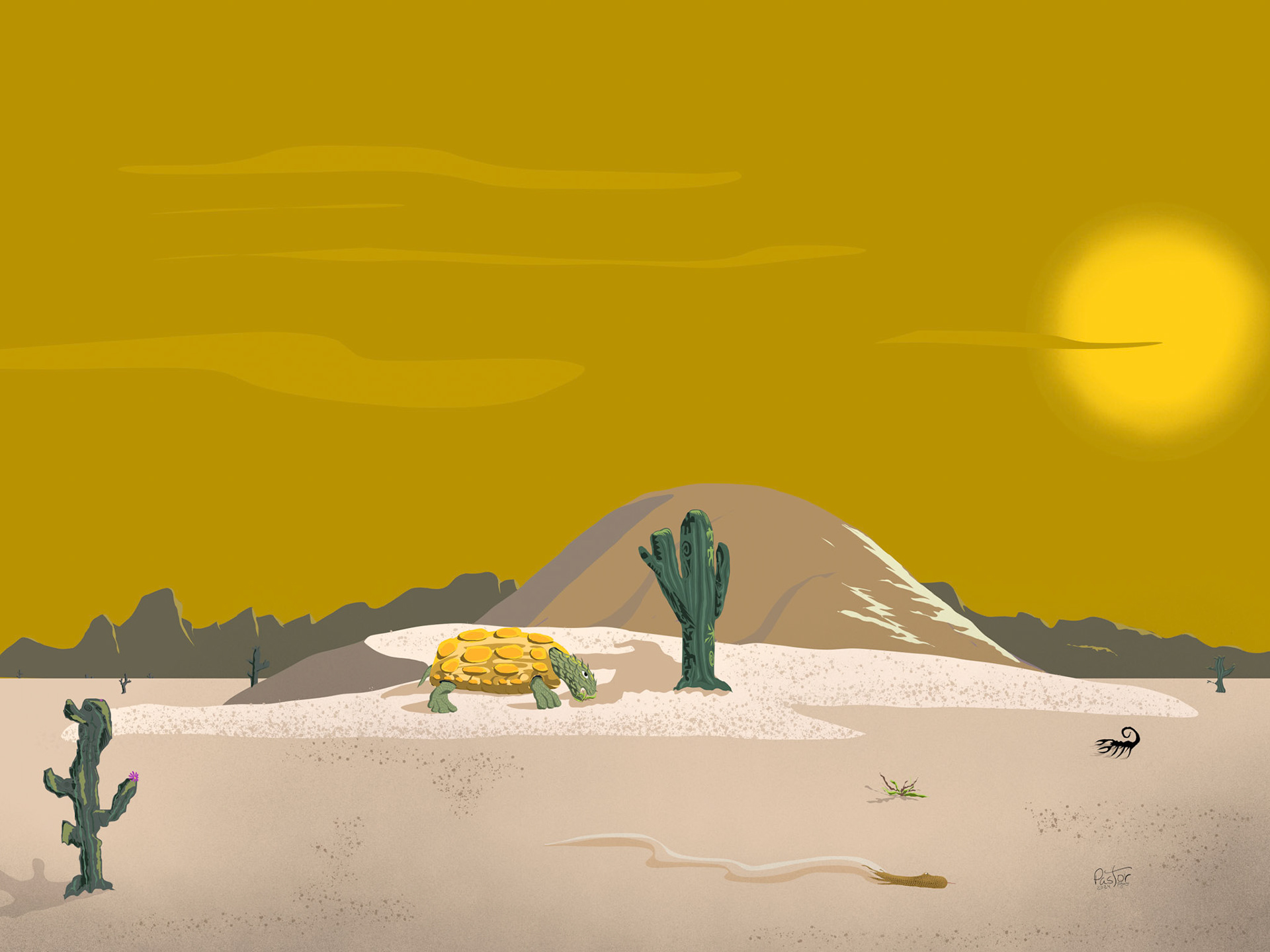 2024-02-08 Desert Tortoise drawn with Concepts