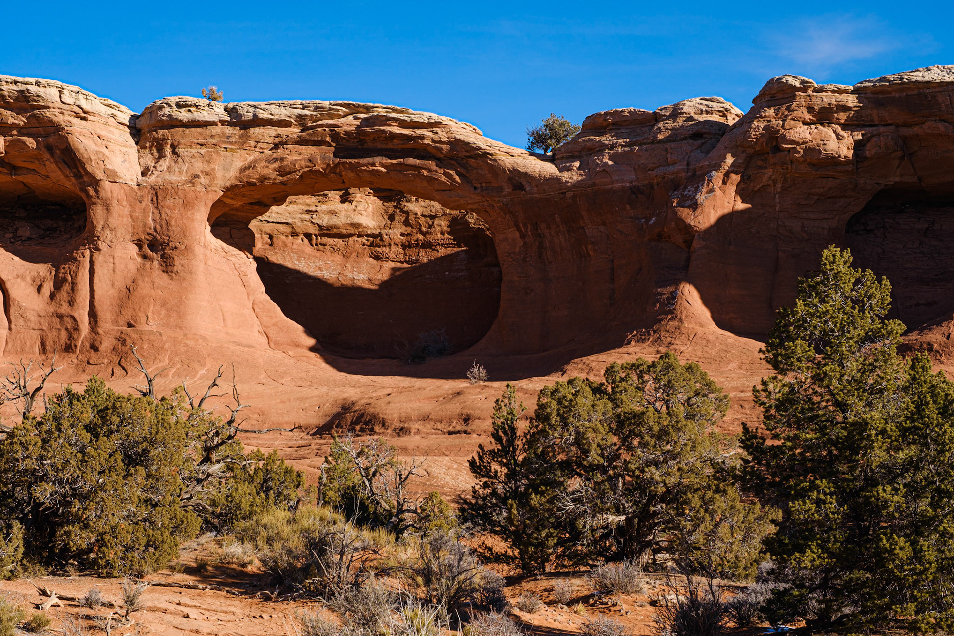 Tapestry Arch