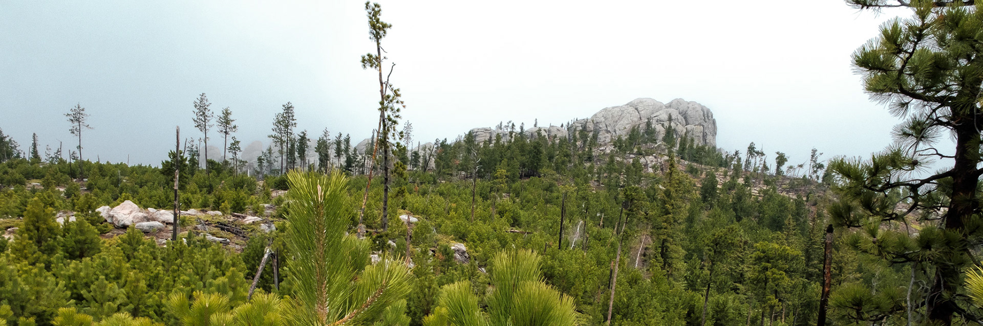 Little Devil's Tower from a distance.