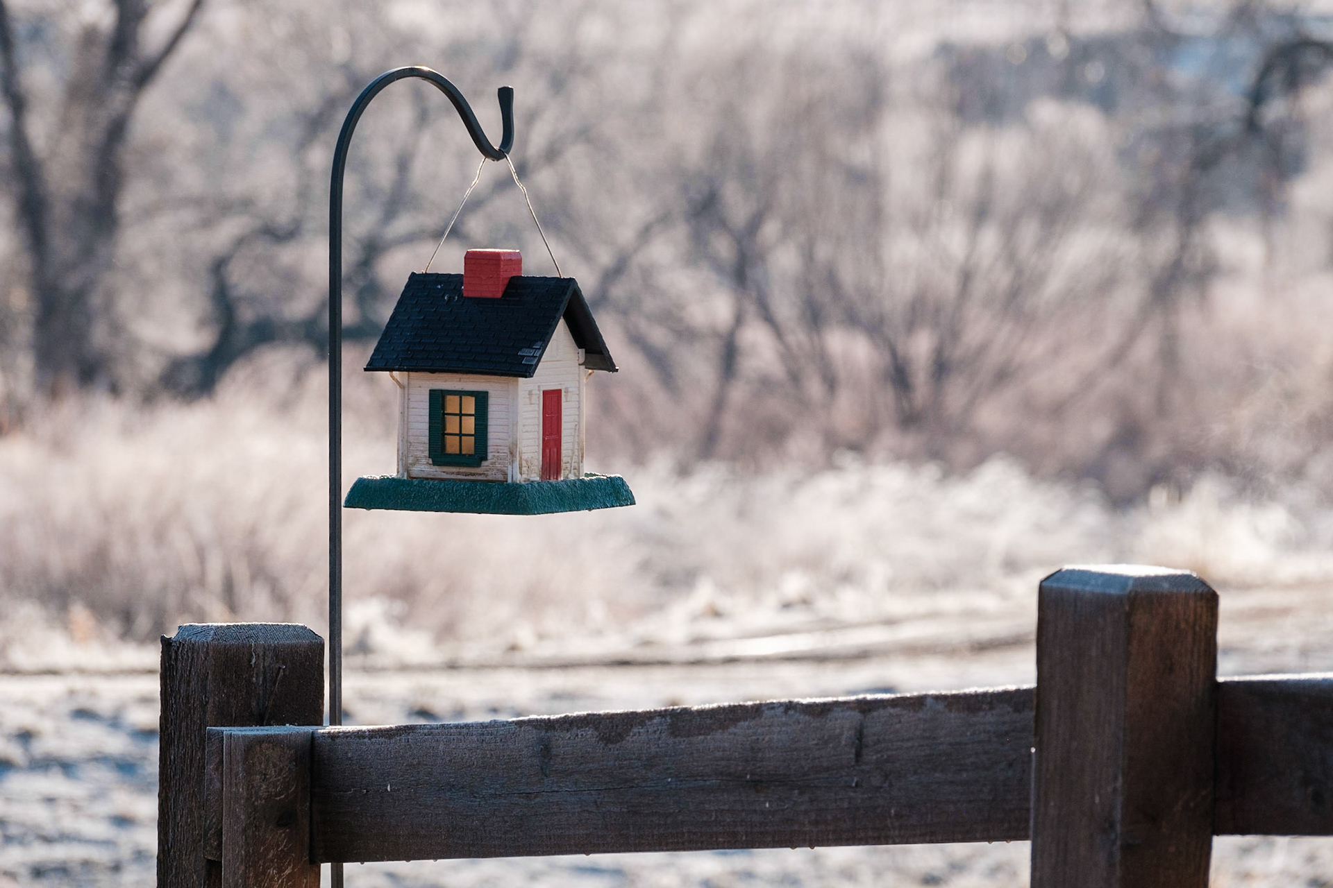 A neighbor's birdhouse.