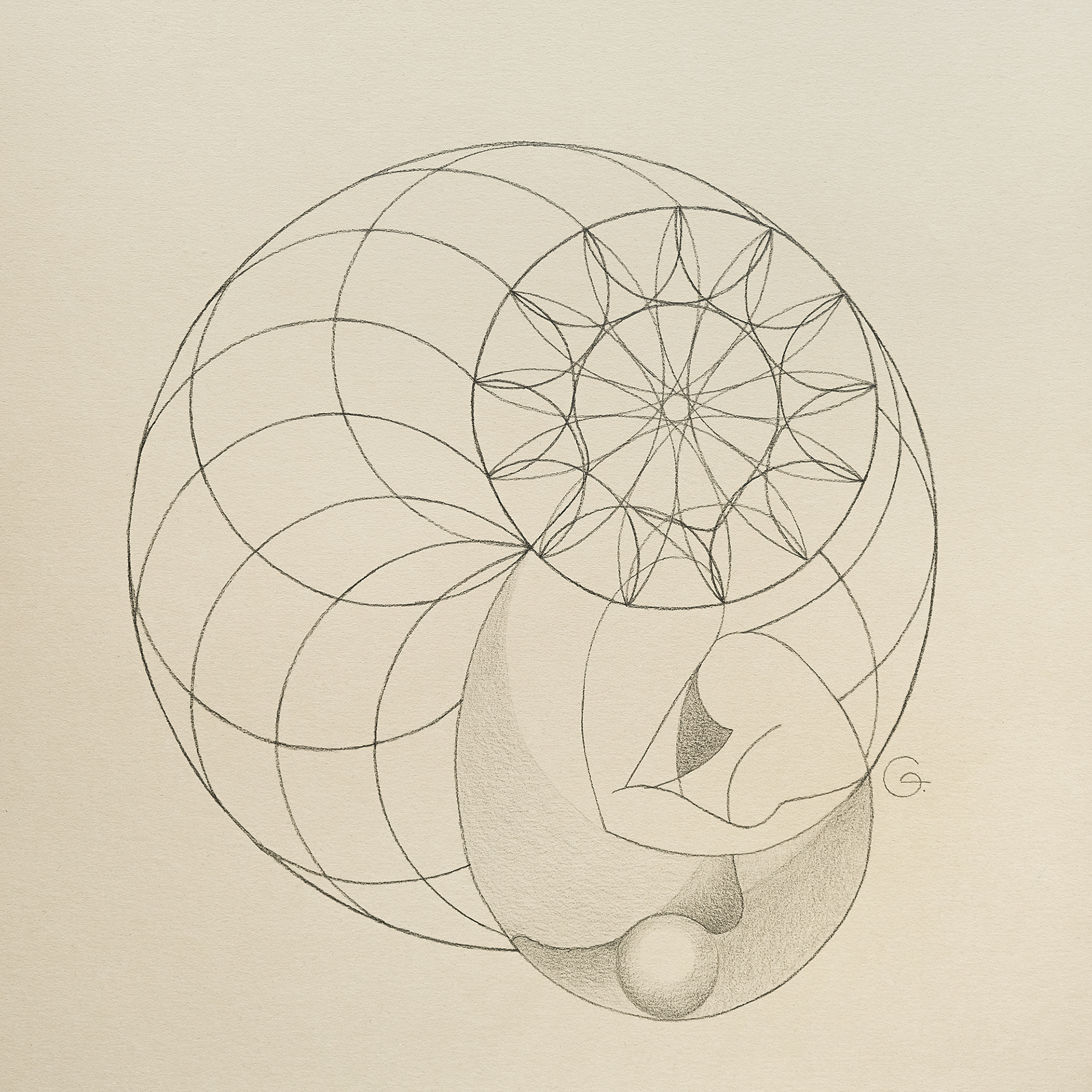 Graphics 21 — minimalist geometric drawing depicting a quiet, introspective figure slightly withdrawn from the group, symbolizing silent presence, inner solitude, and the balance between individuality and belonging.