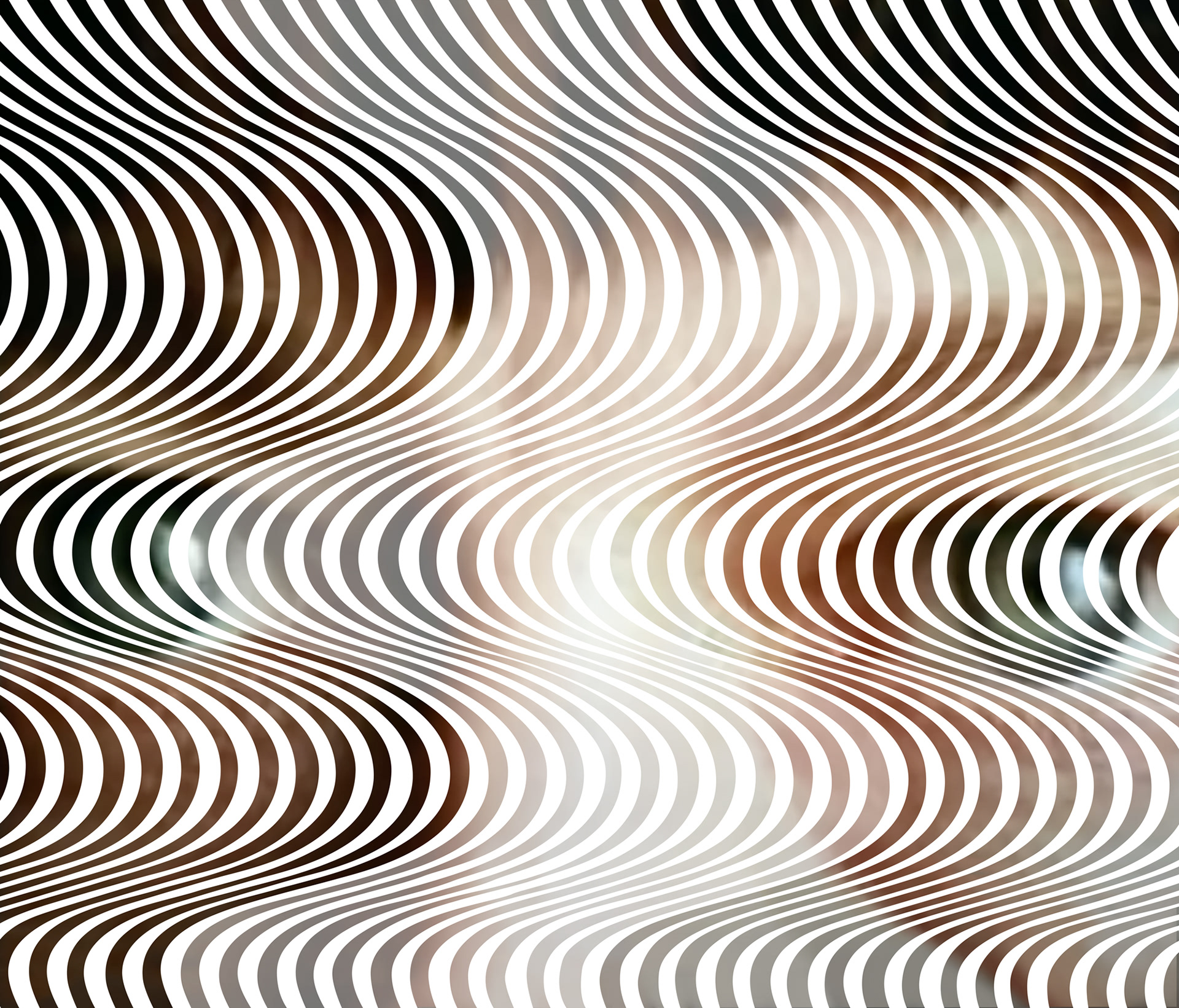 Bridget Riley, English painter (1931-)