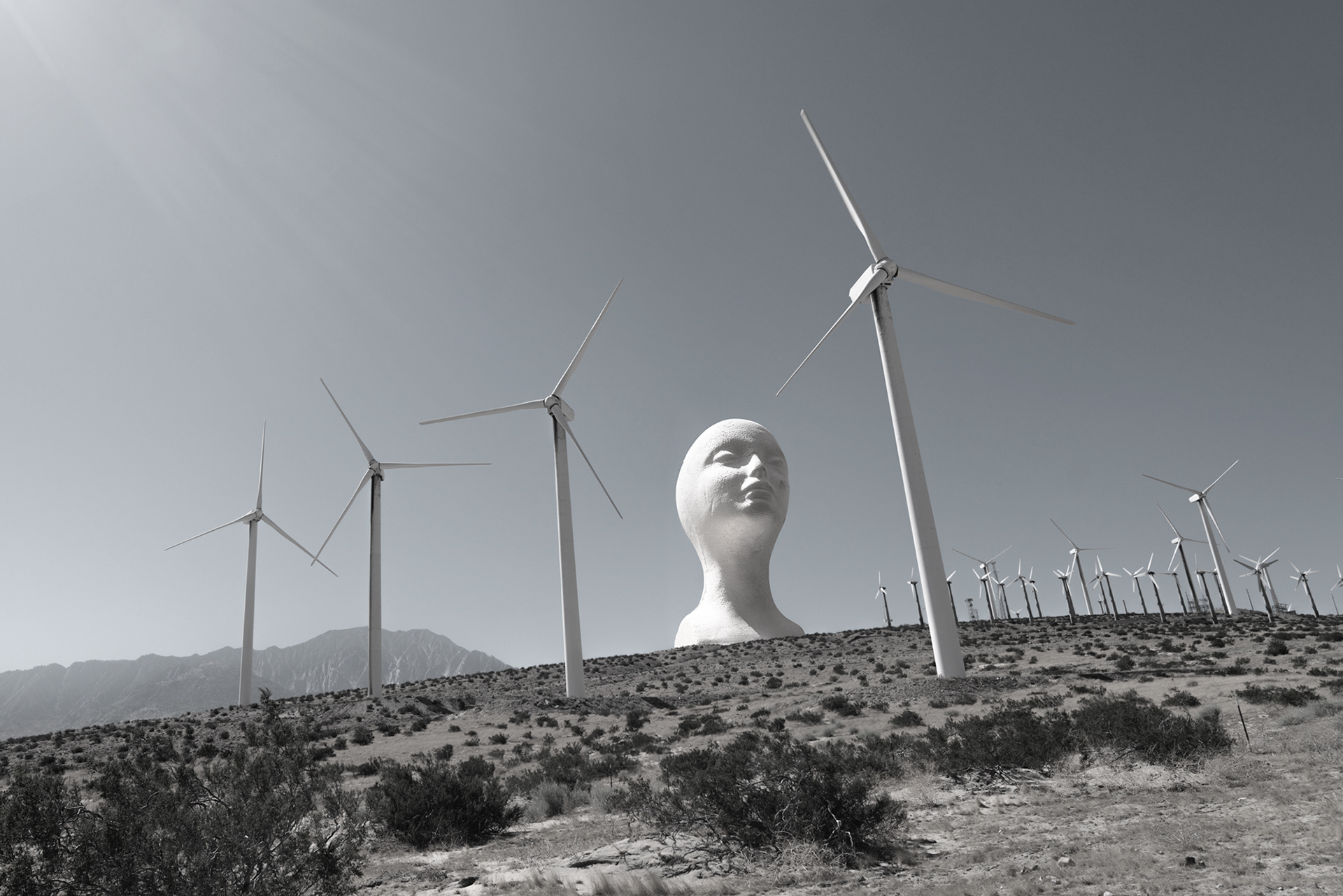 Study for a desert Instillation, photo college