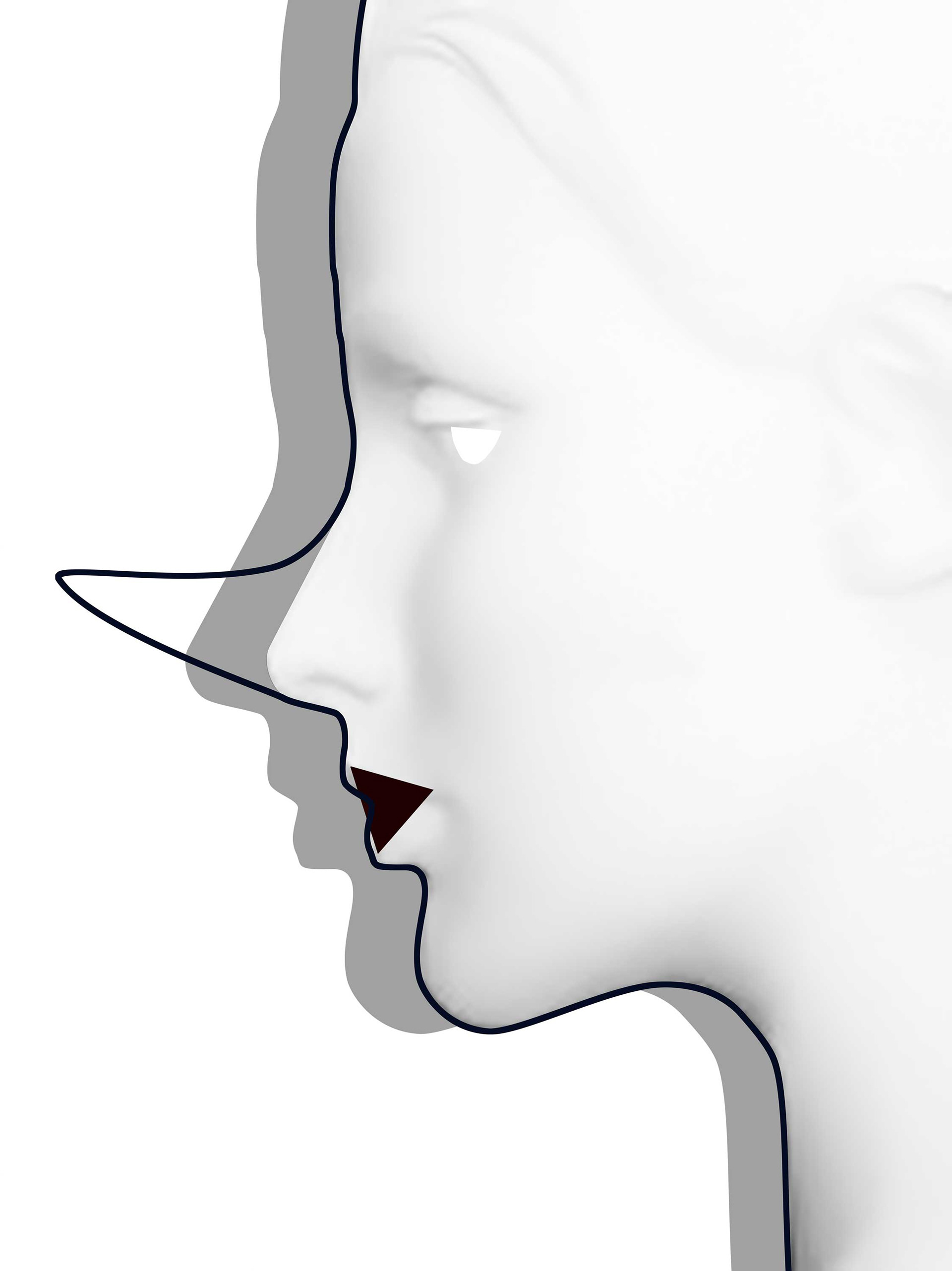 Snow white, numbered screen print (38'x26") - Conceptual art highlighting tension between idealized image and lived reality.