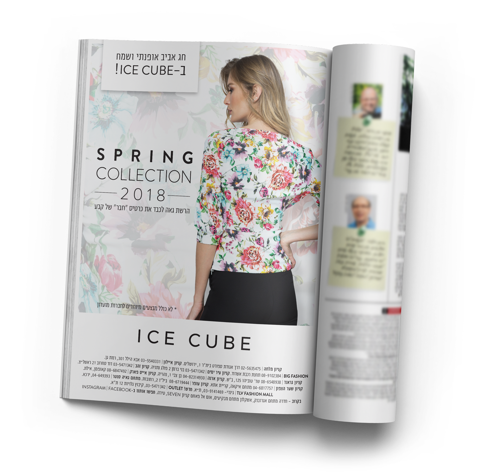 Single Page Ad | ICE CUBE | 507Creative