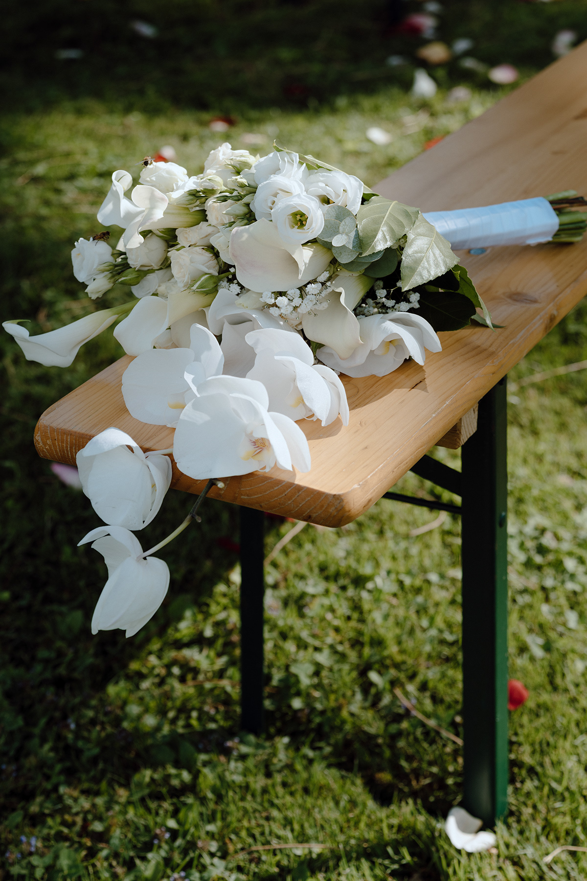 Simla & Kevin — photographie 472