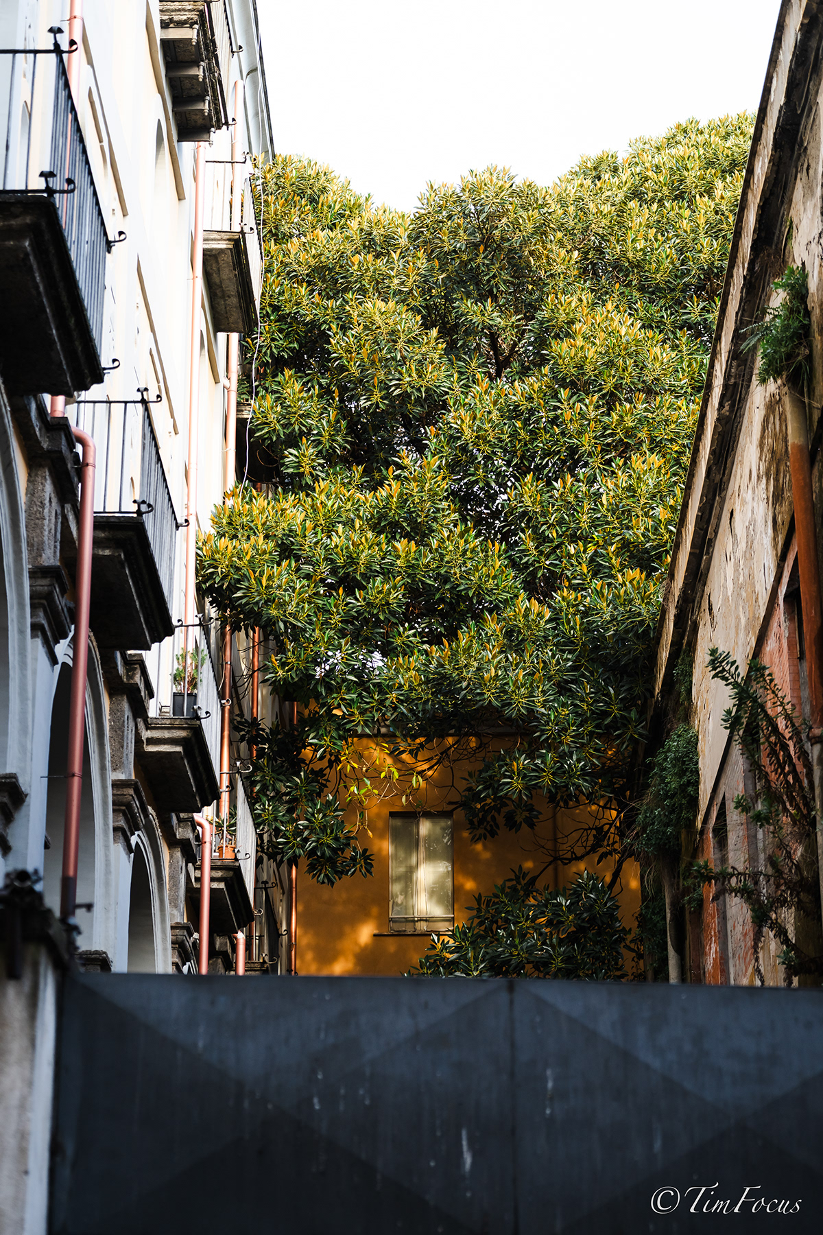 Naples — photographie 34